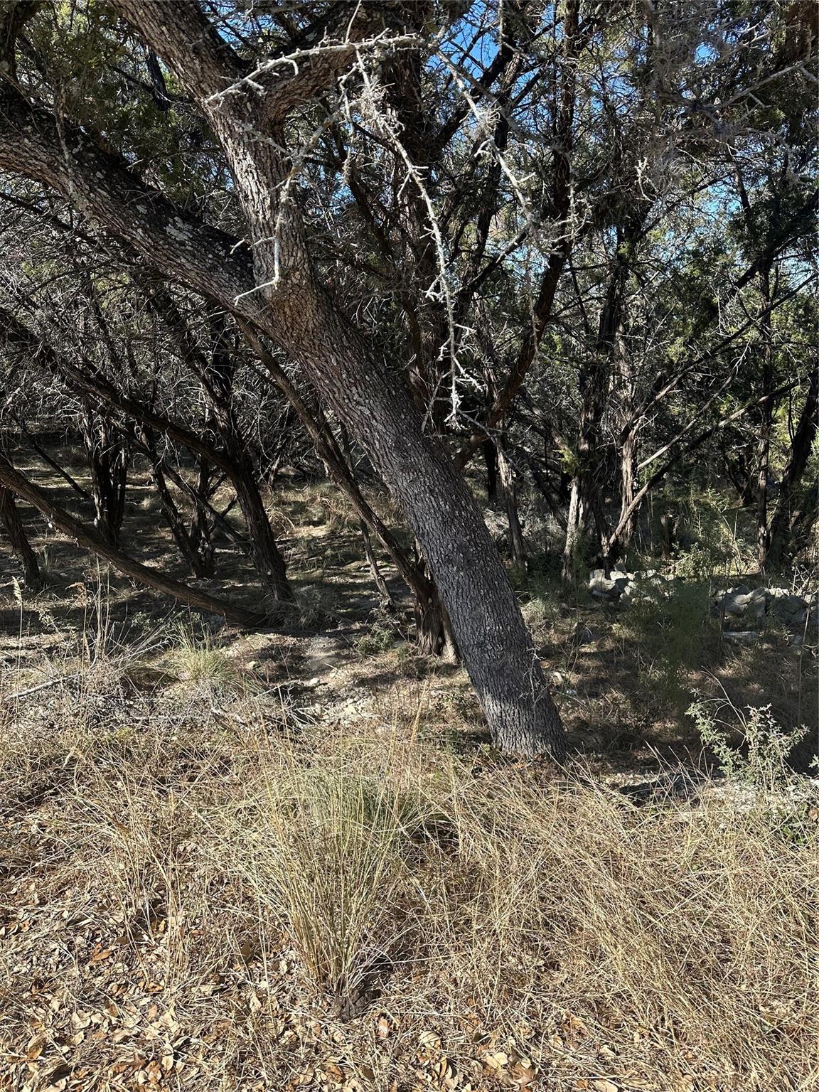 20700 Branding Iron, Lago Vista, TX 78645