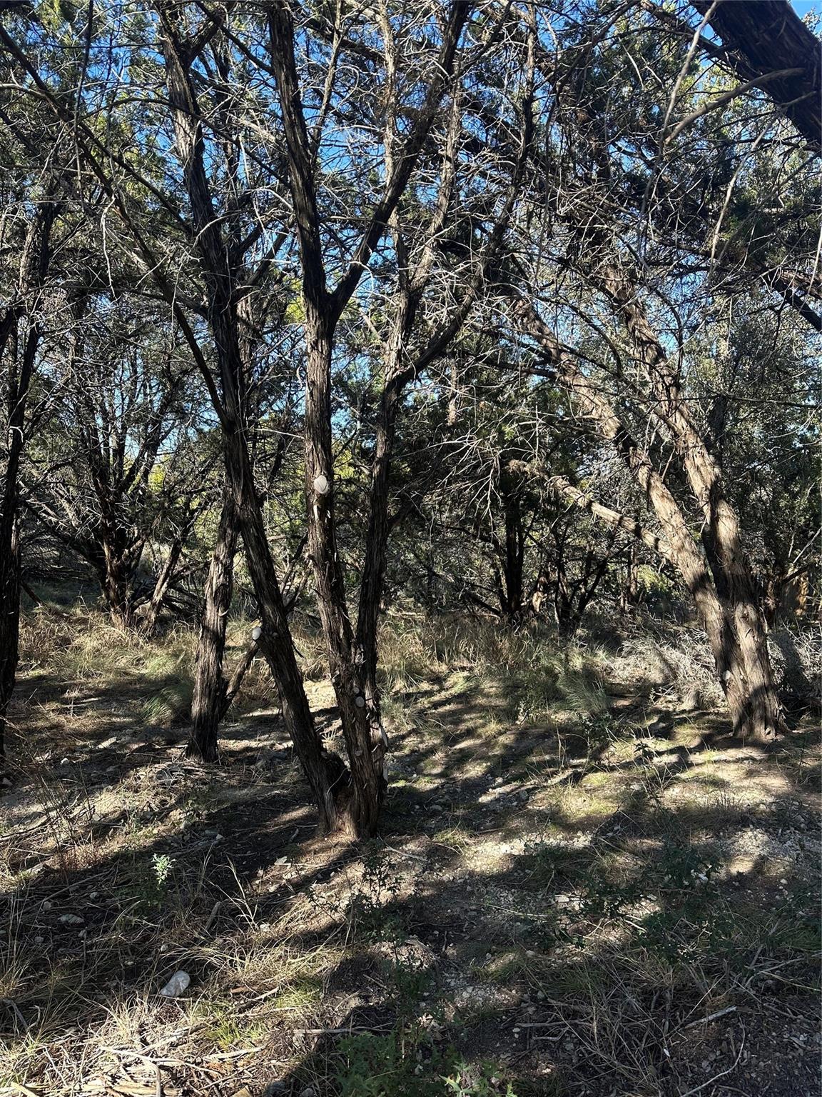 20700 Branding Iron, Lago Vista, TX 78645