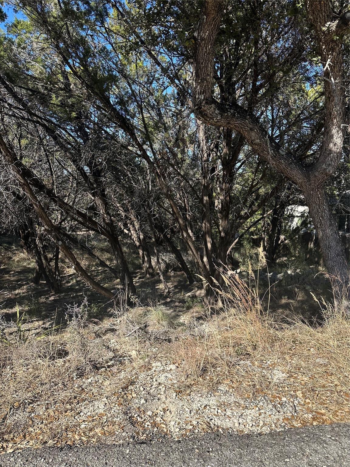 20700 Branding Iron, Lago Vista, TX 78645