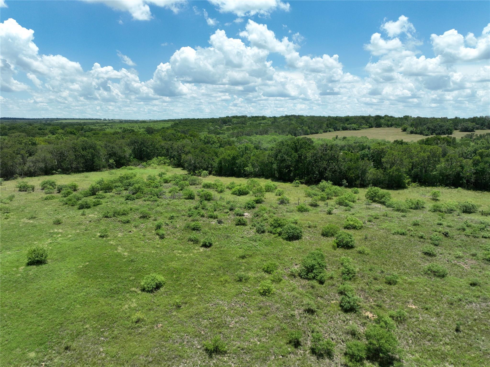 TBD Lot 5 Pettytown Rd, Dale, TX 78616