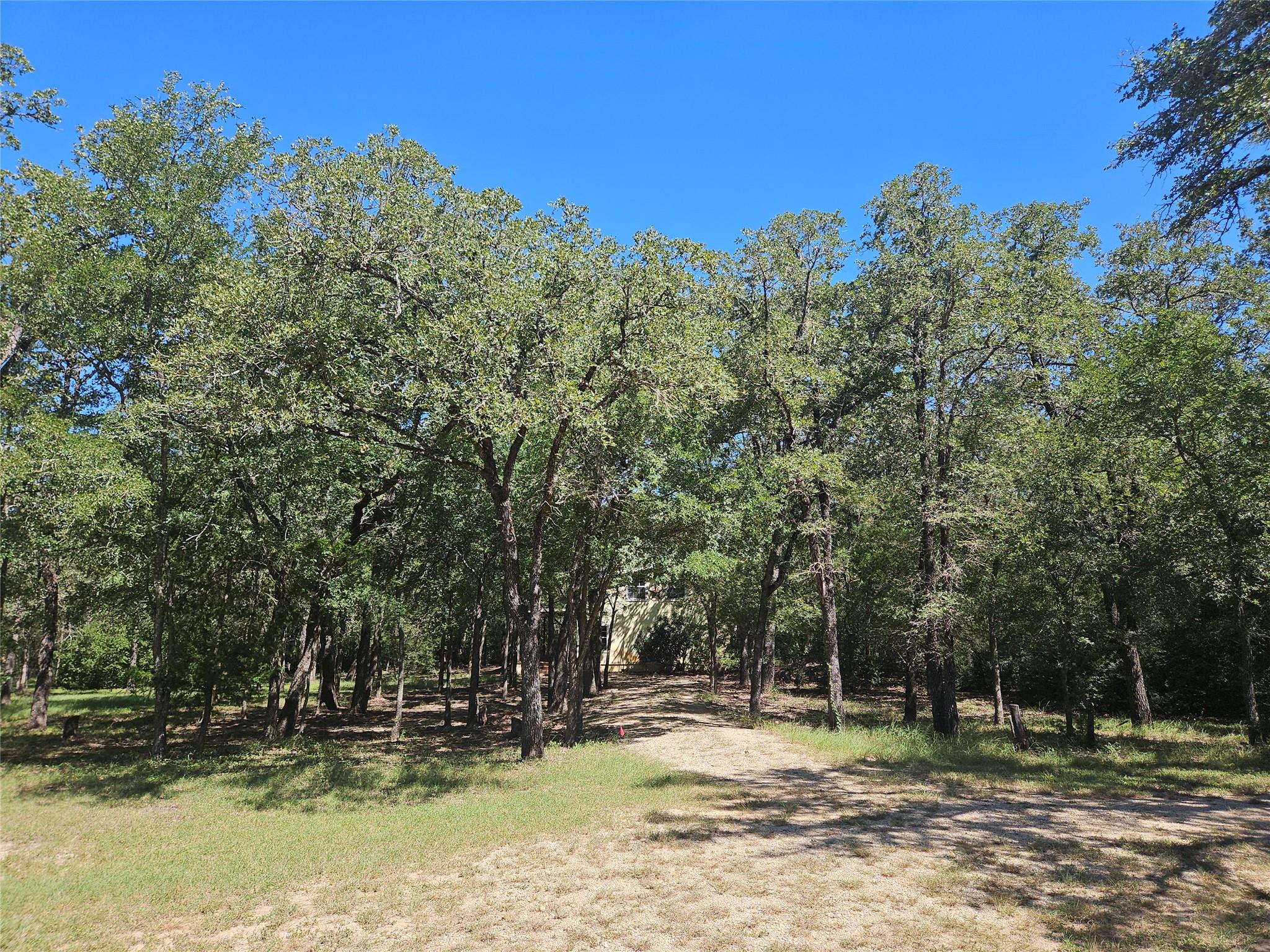 350 Oak Creek Trl, Thrall, TX 76578