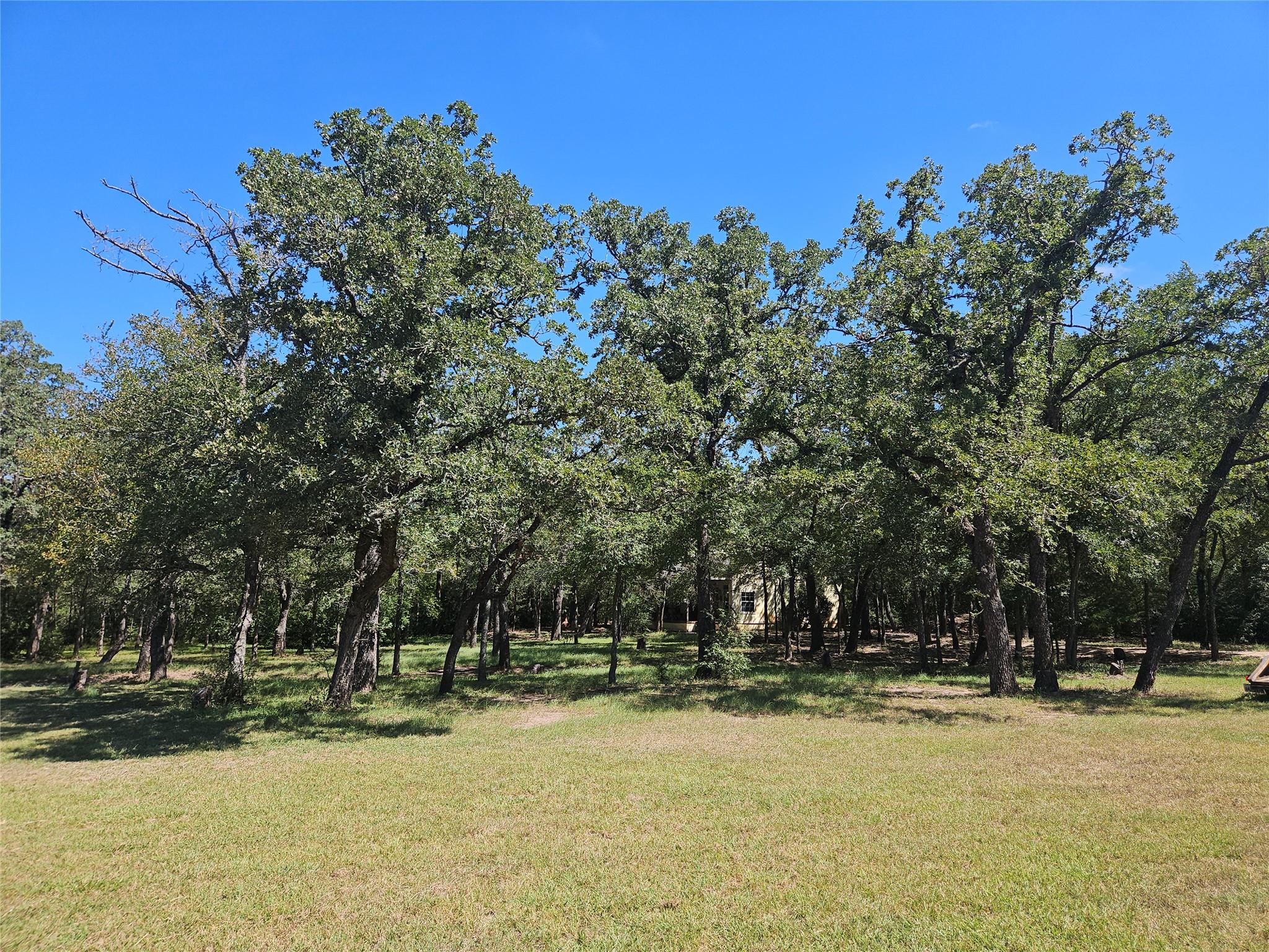 350 Oak Creek Trl, Thrall, TX 76578