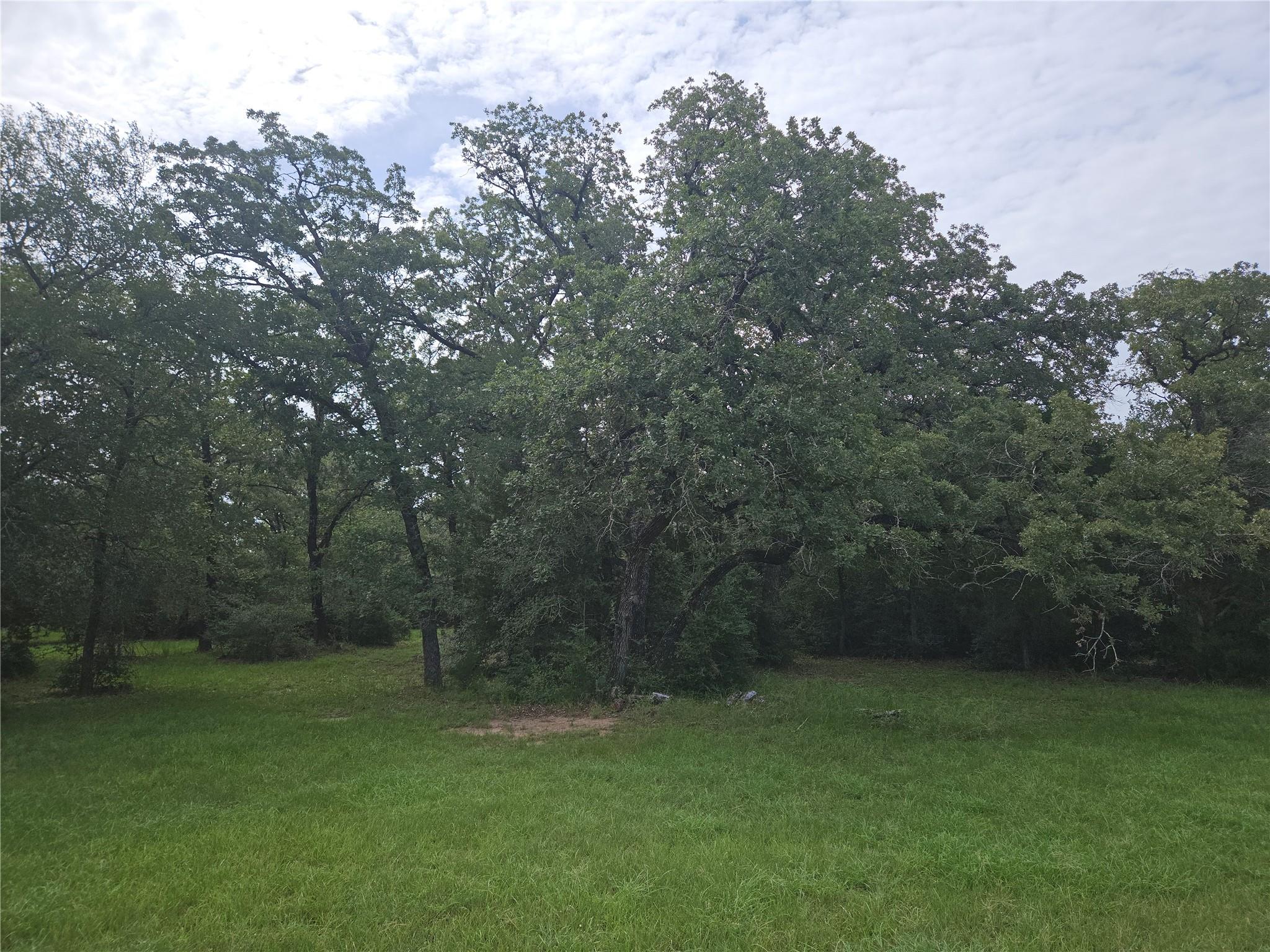 350 Oak Creek Trl, Thrall, TX 76578