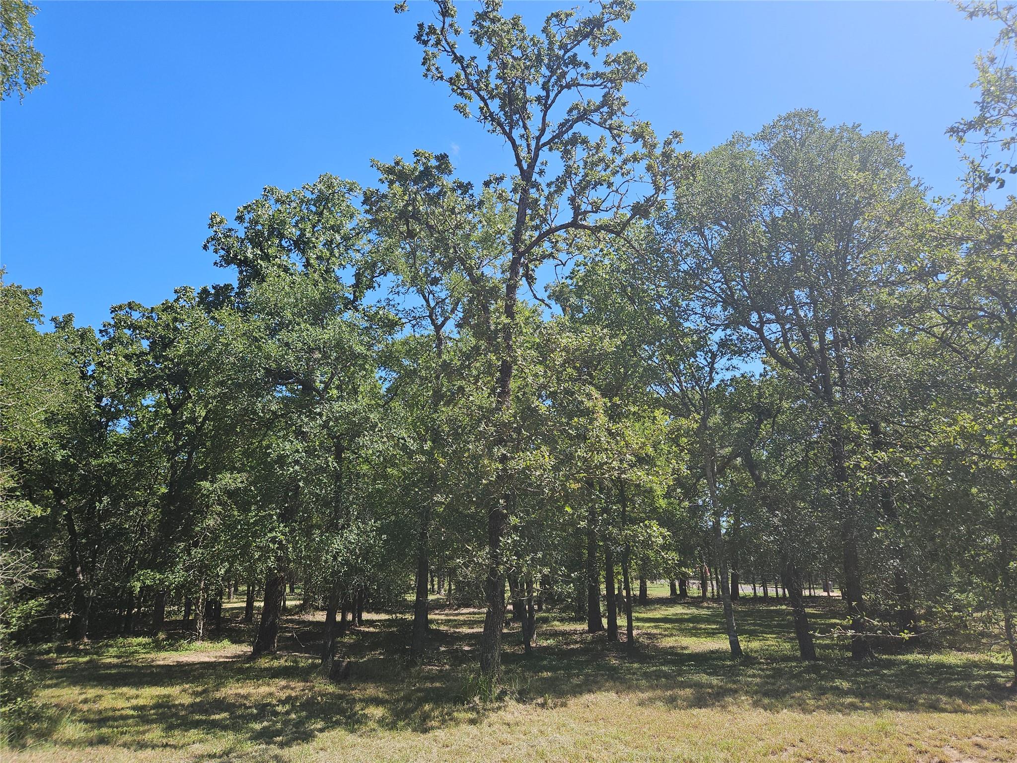 350 Oak Creek Trl, Thrall, TX 76578