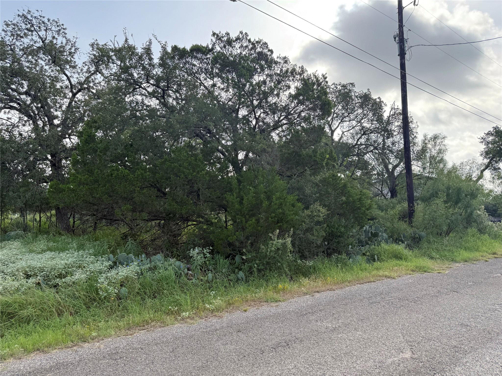 Lot 424 & 425 Oakhill Dr, Granite Shoals, TX 78654