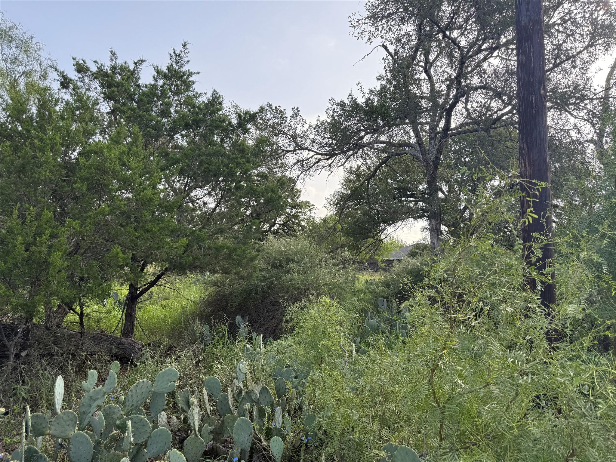 Lot 424 & 425 Oakhill Dr, Granite Shoals, TX 78654