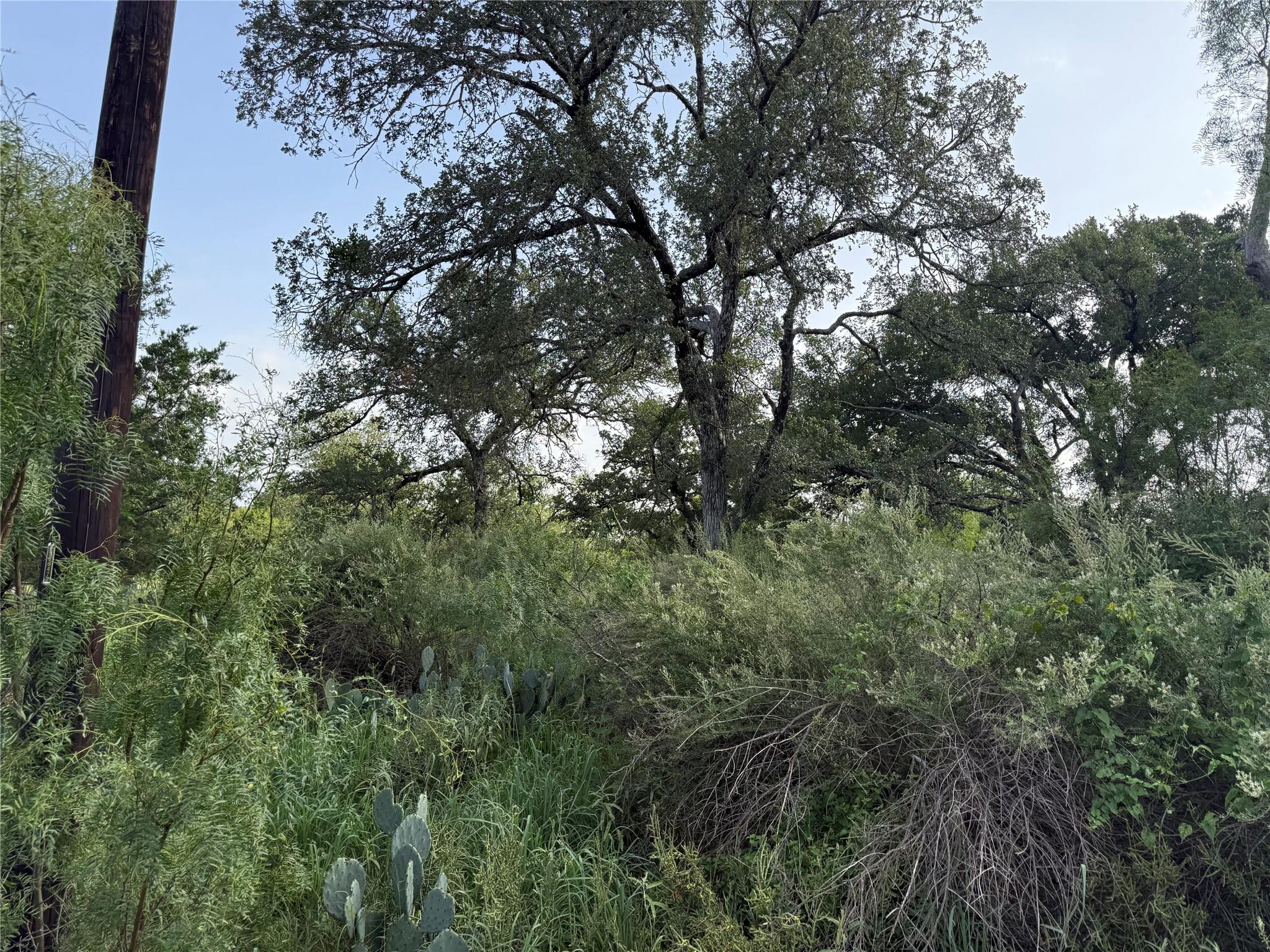 Lot 424 & 425 Oakhill Dr, Granite Shoals, TX 78654