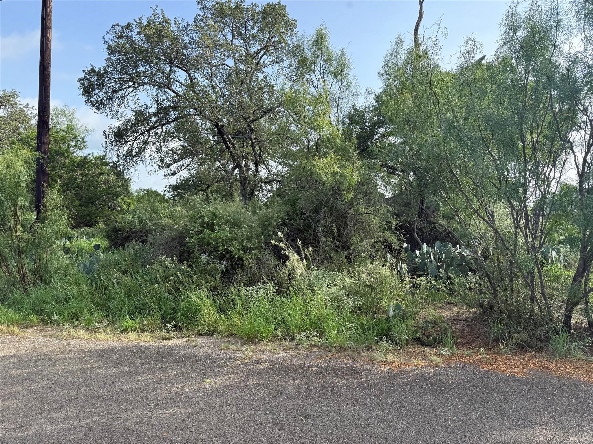 Lot 424 & 425 Oakhill Dr, Granite Shoals, TX 78654