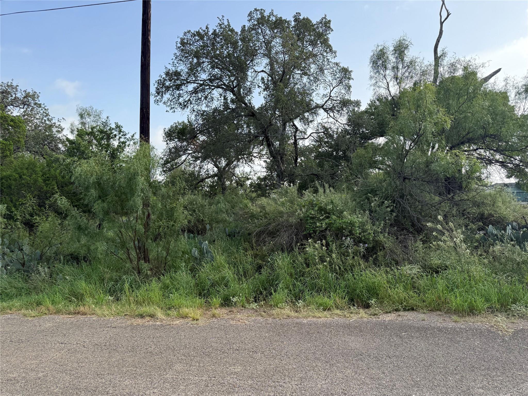 Lot 424 & 425 Oakhill Dr, Granite Shoals, TX 78654