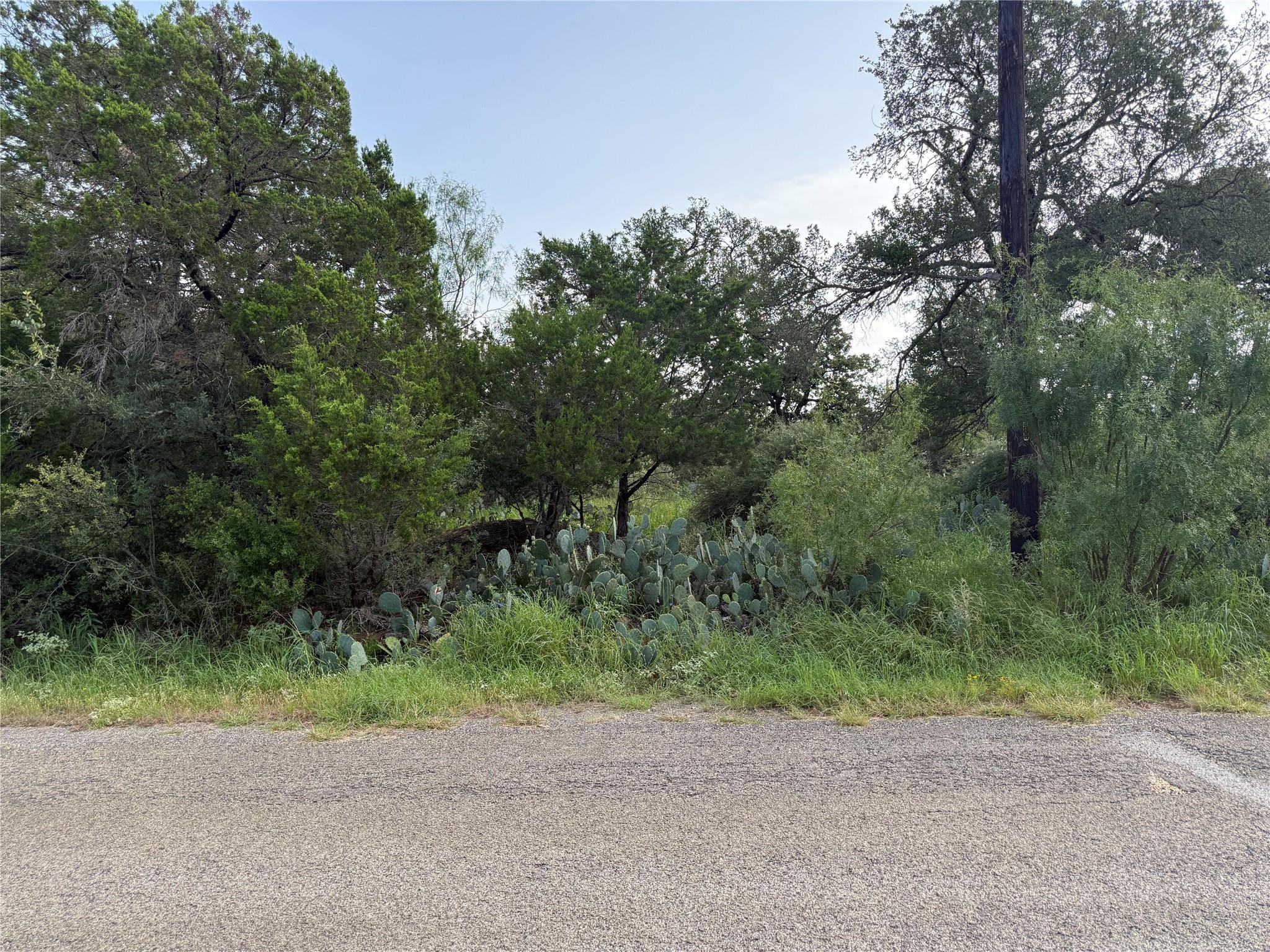 Lot 424 & 425 Oakhill Dr, Granite Shoals, TX 78654