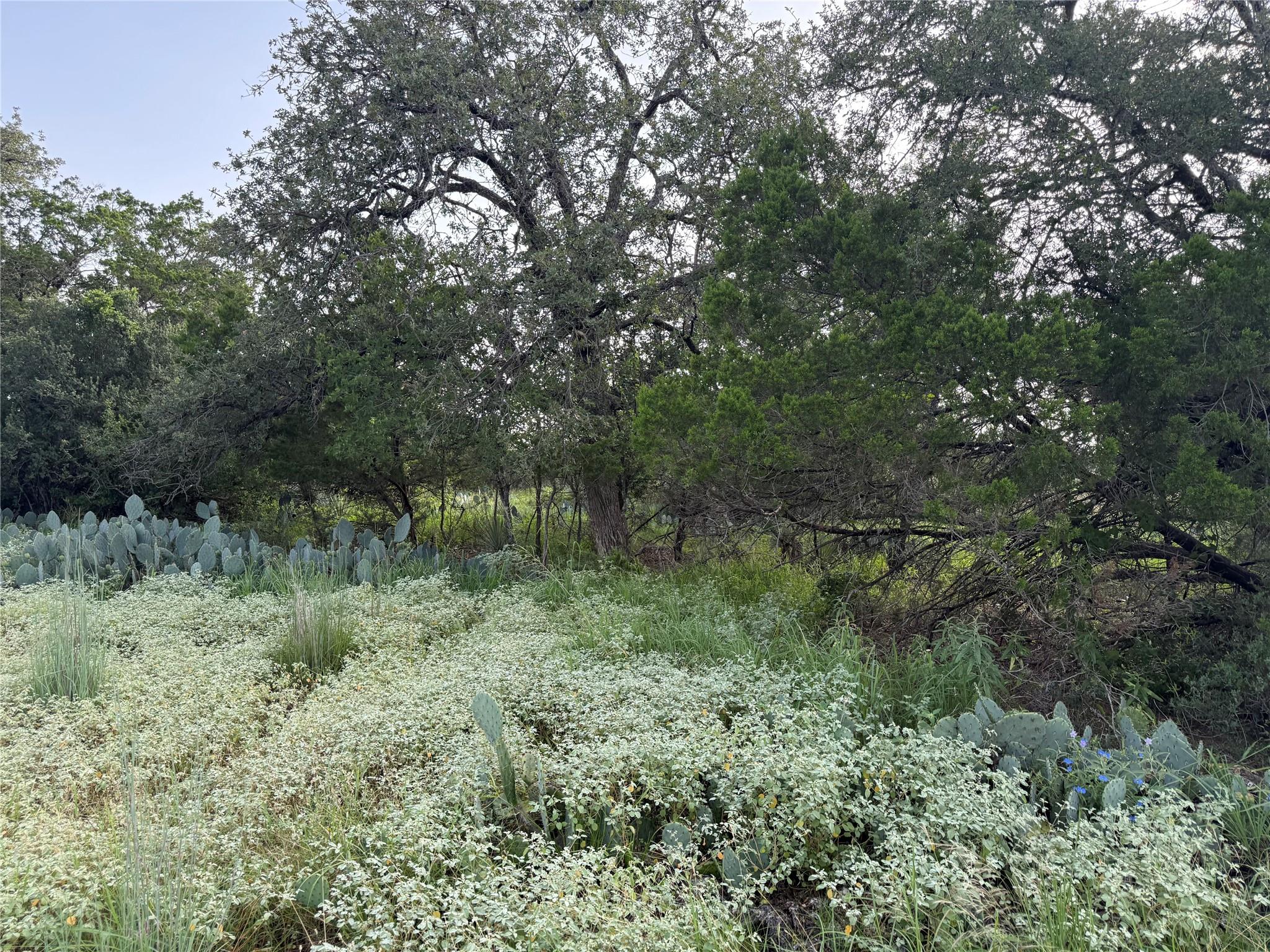 Lot 424 & 425 Oakhill Dr, Granite Shoals, TX 78654