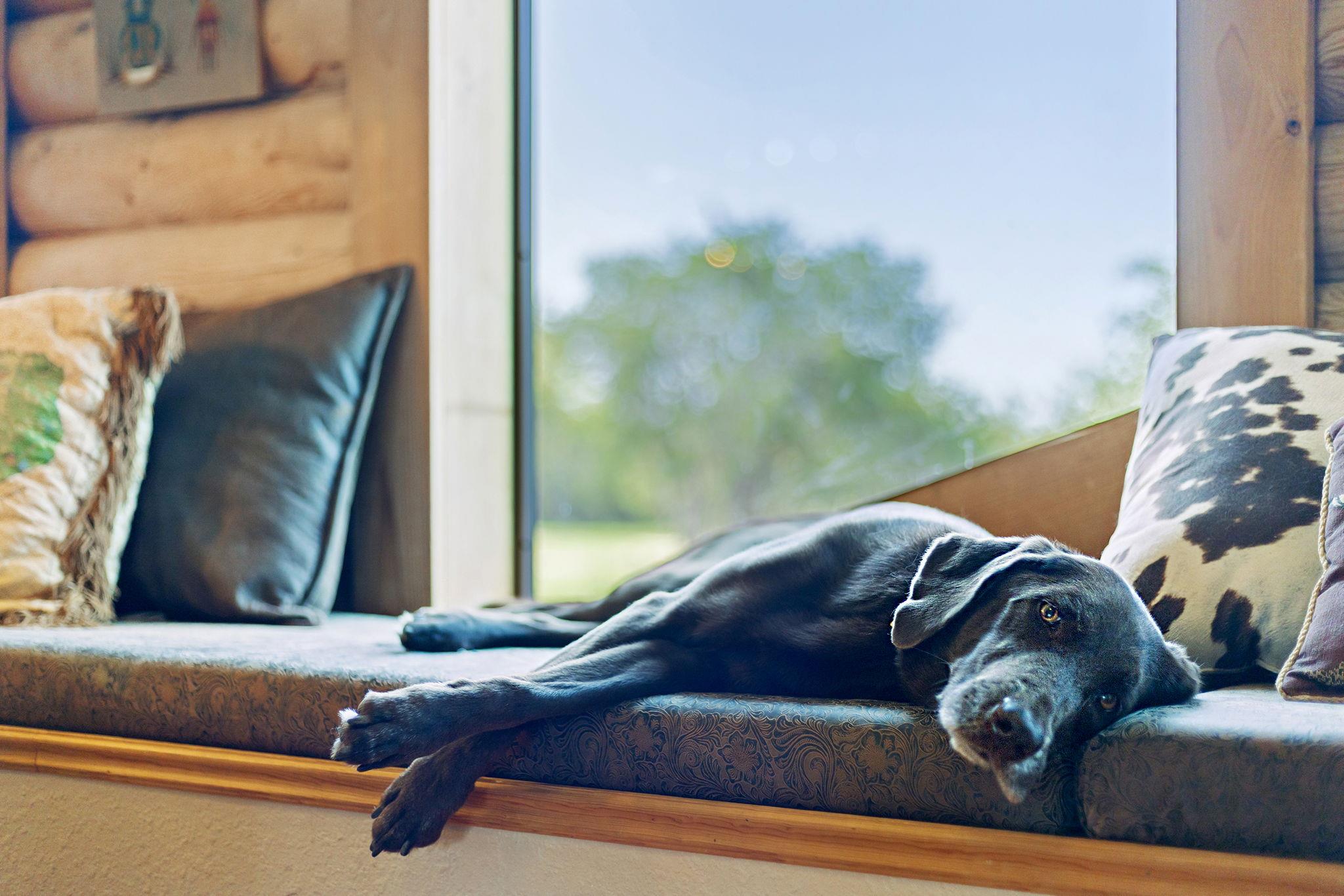 3295 County Road 206, Lampasas, TX 76550