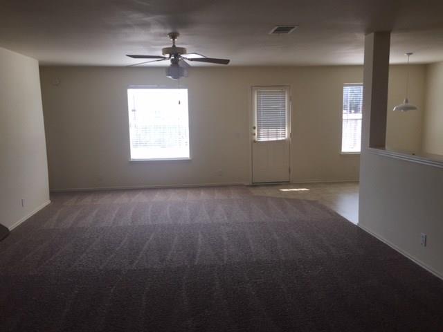 309 ABAMILLO Ct, Hutto, TX 78634