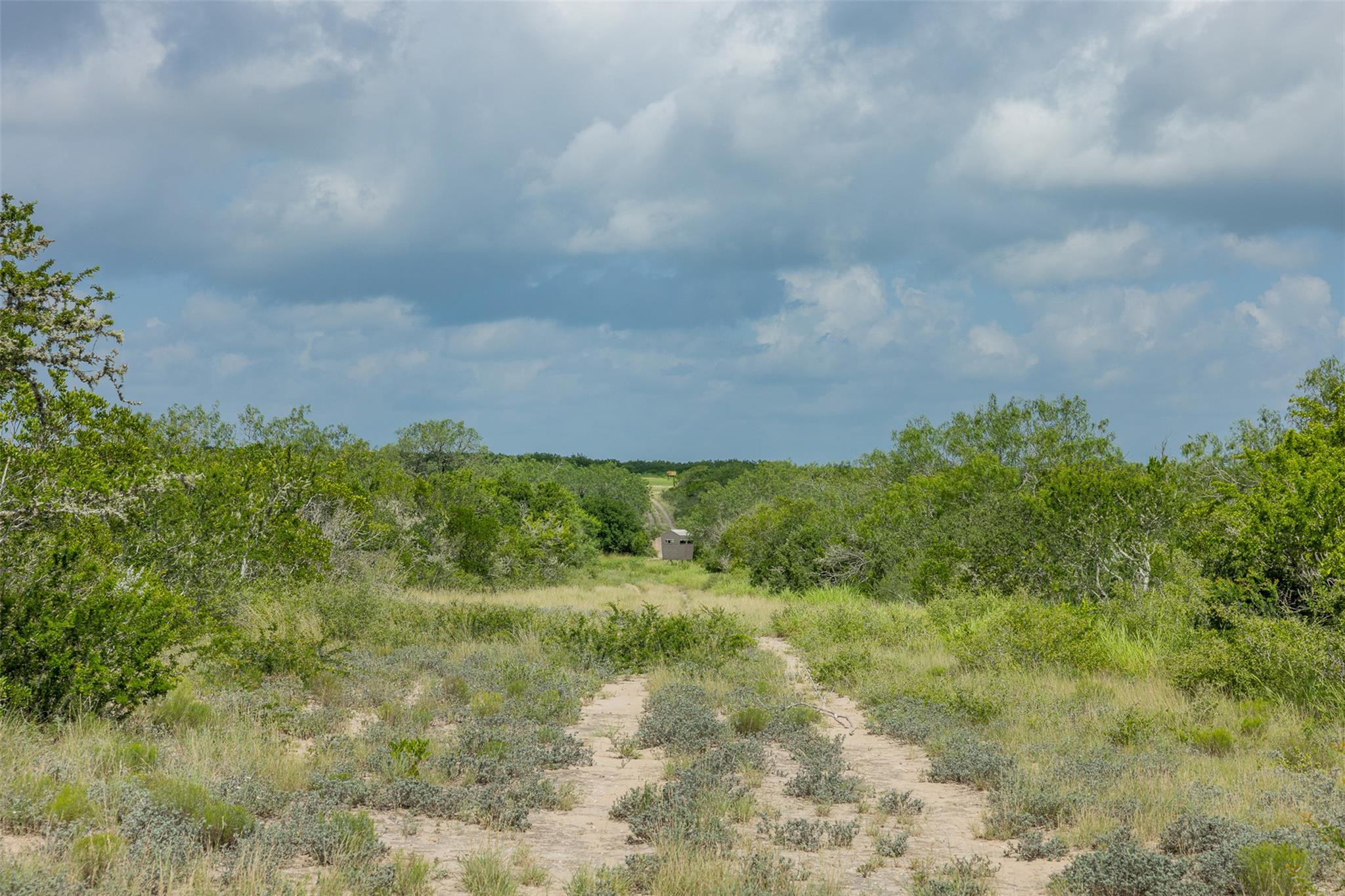 817 Highway 59 S., George West, TX 78022