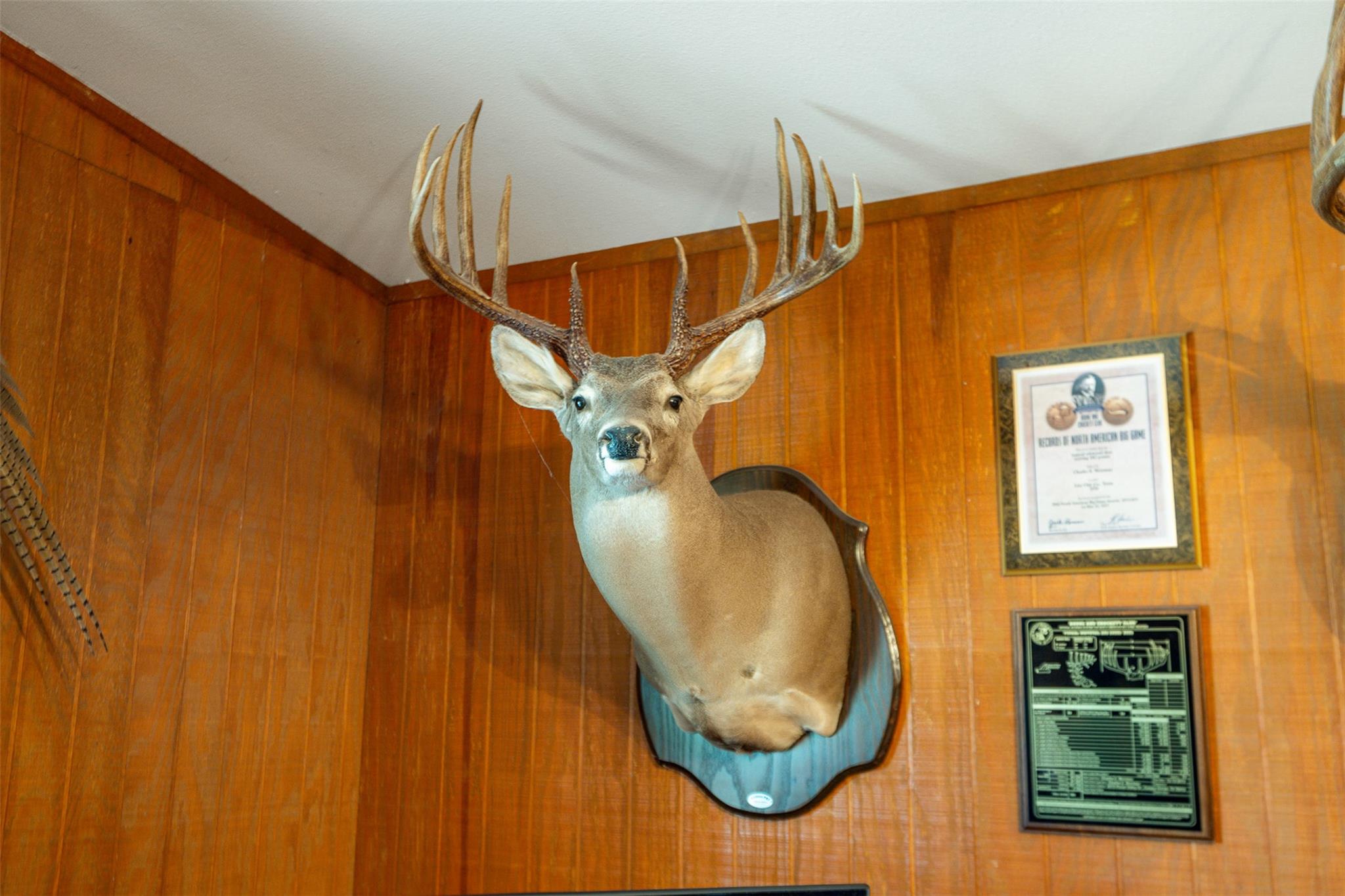 817 Highway 59 S., George West, TX 78022