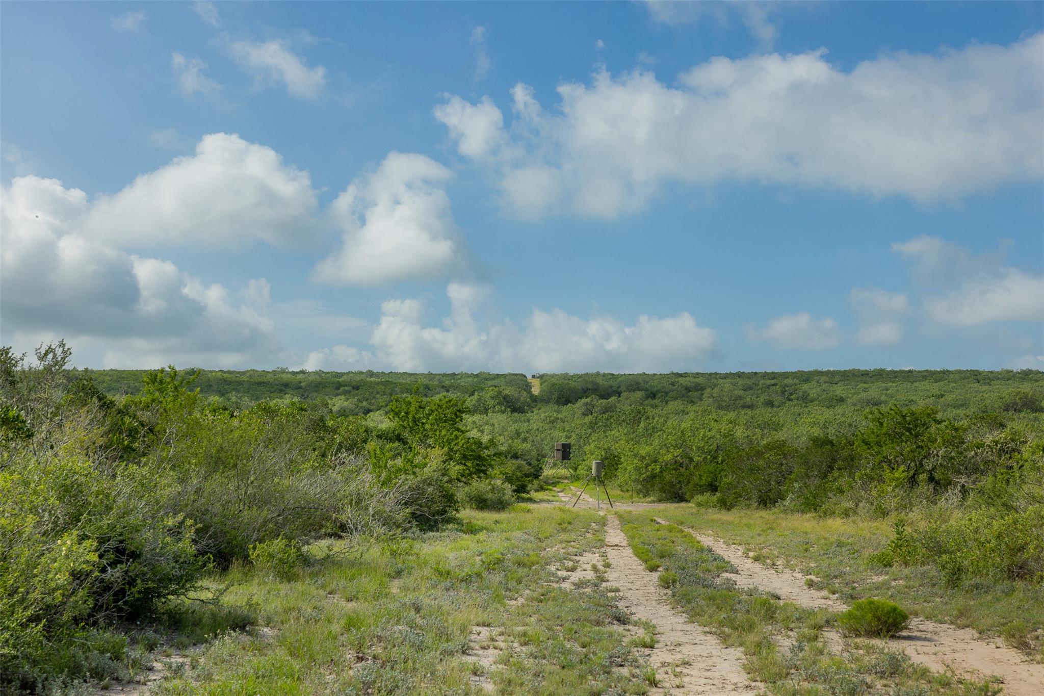 817 Highway 59 S., George West, TX 78022