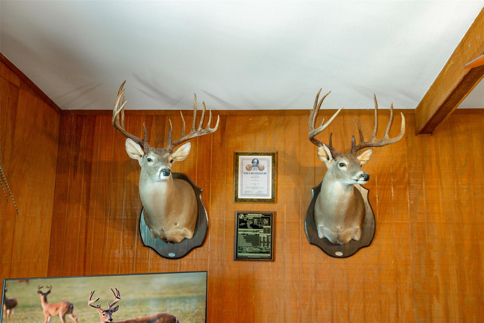 817 Highway 59 S., George West, TX 78022