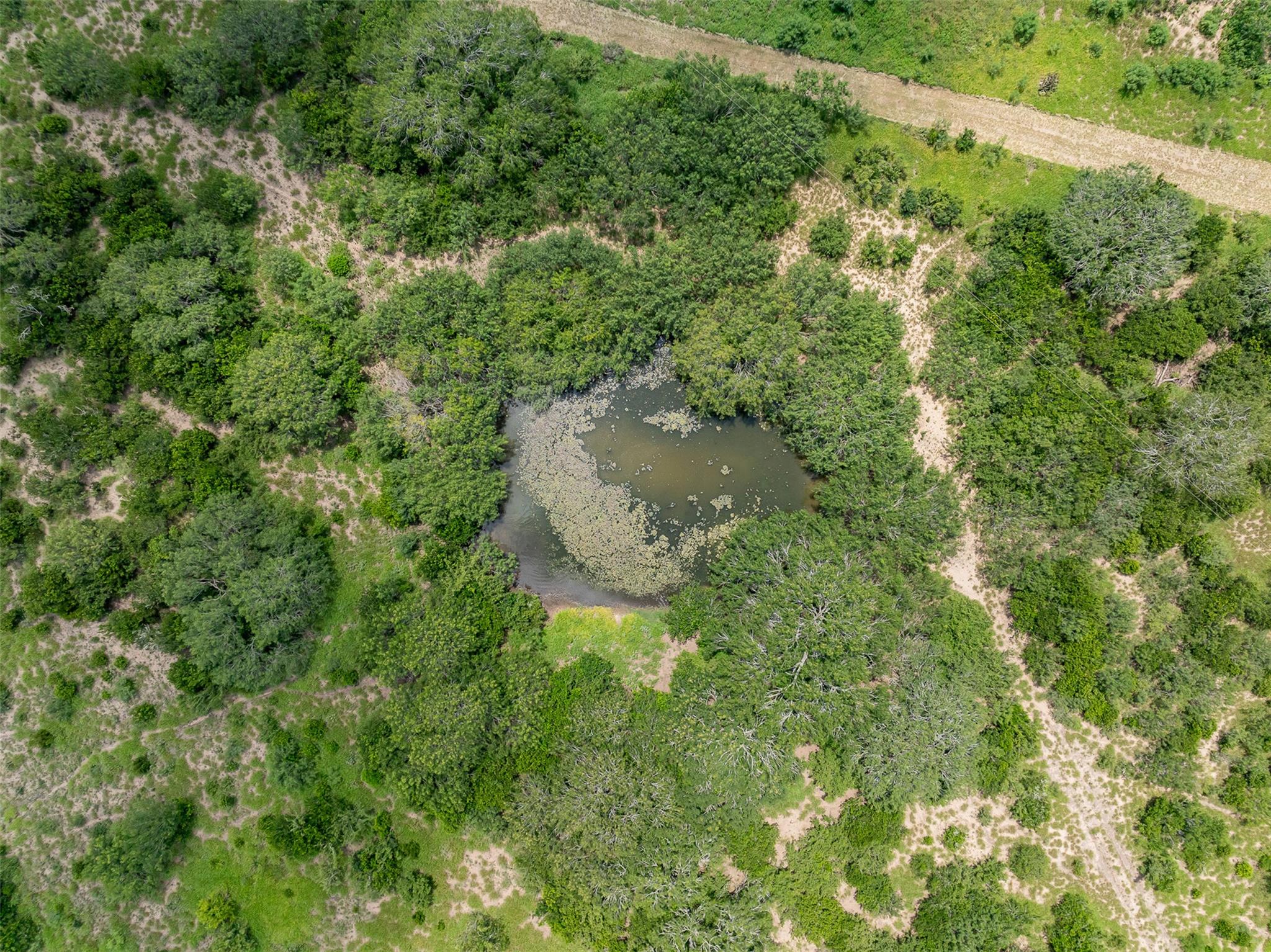 817 Highway 59 S., George West, TX 78022