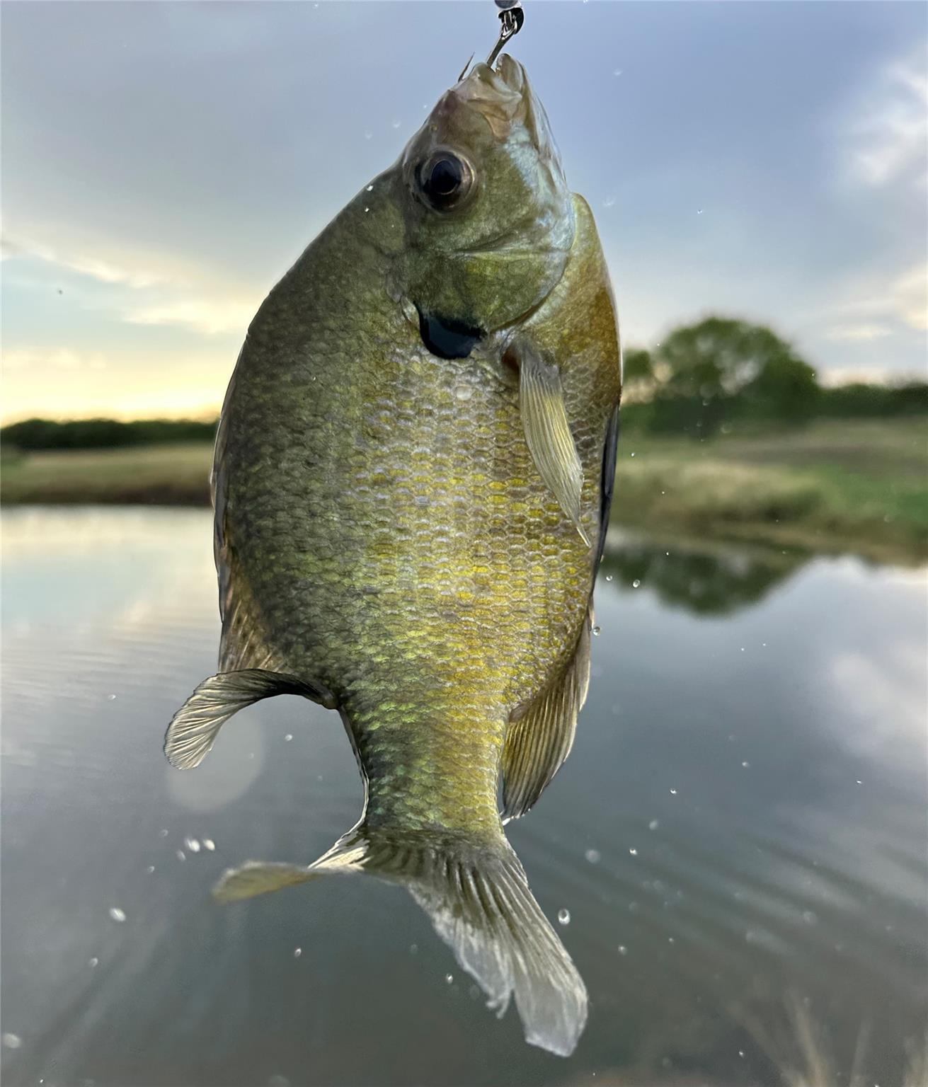 817 Highway 59 S., George West, TX 78022