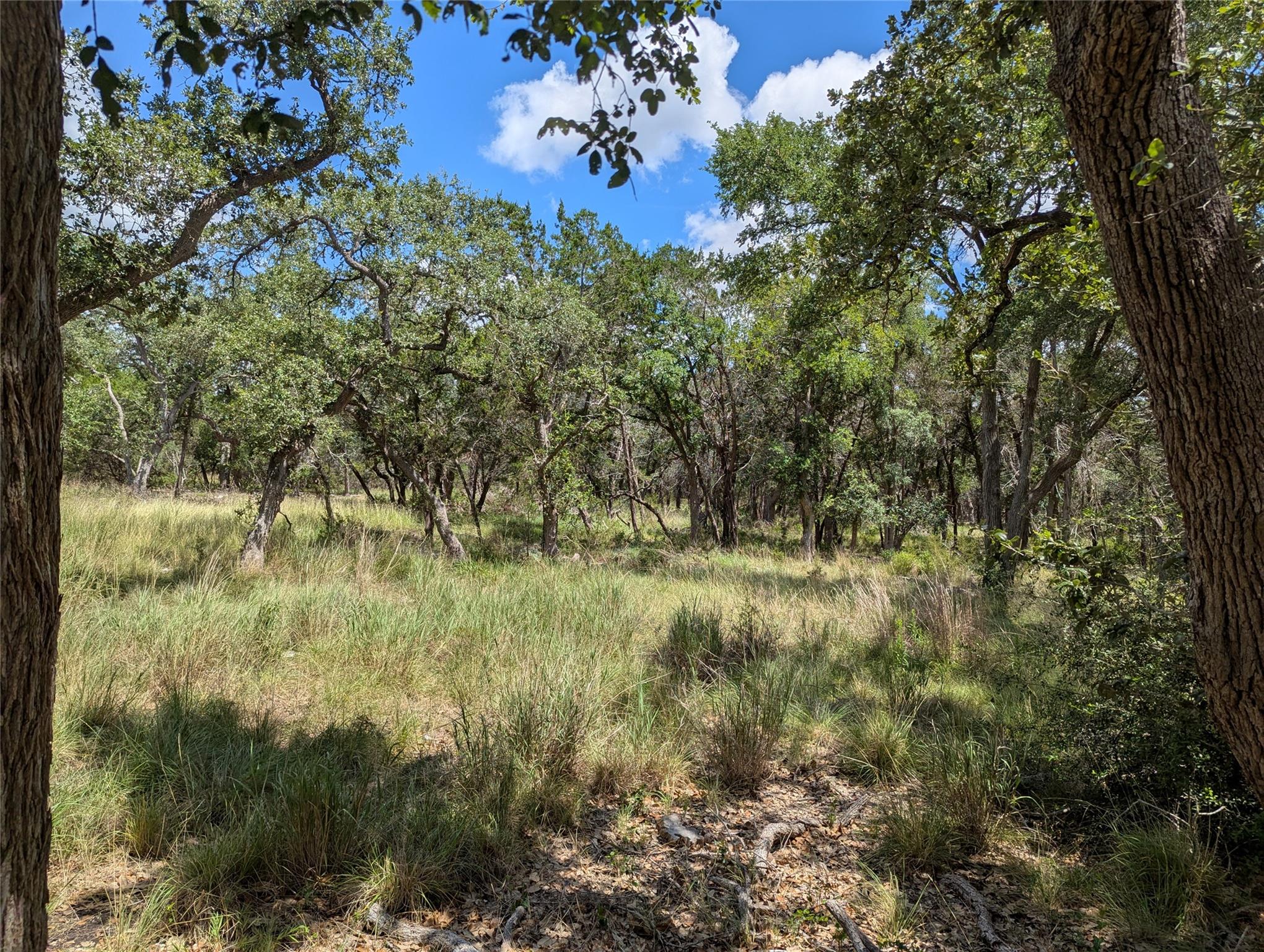 5165 Lone Man Mountain Rd, Wimberley, TX 78676
