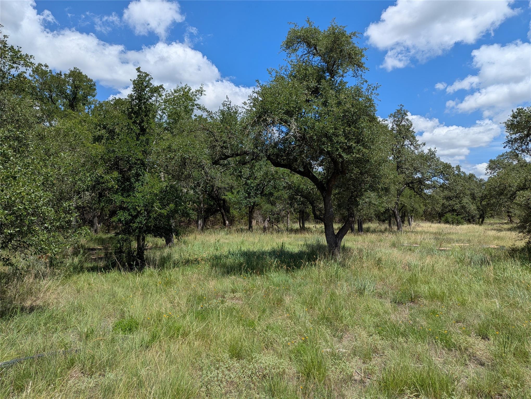 5165 Lone Man Mountain Rd, Wimberley, TX 78676