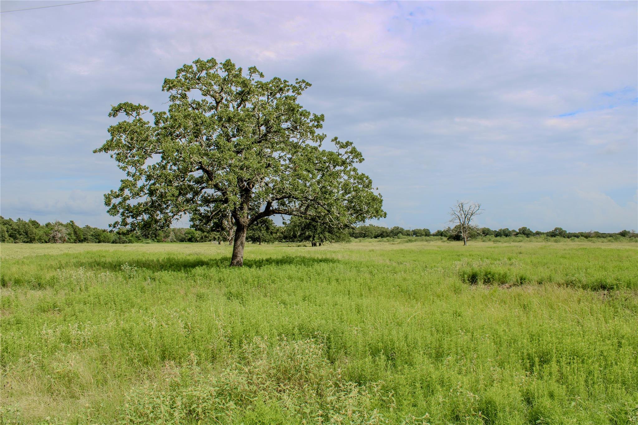 1084 County Road 120, Giddings, TX 78942