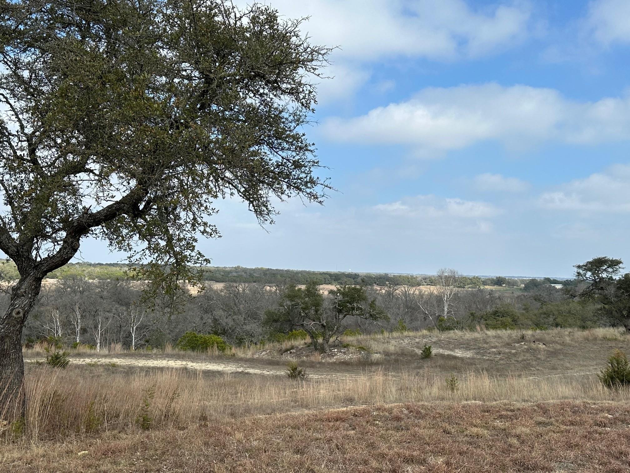 1900 County Road 284, Liberty Hill, TX 78642