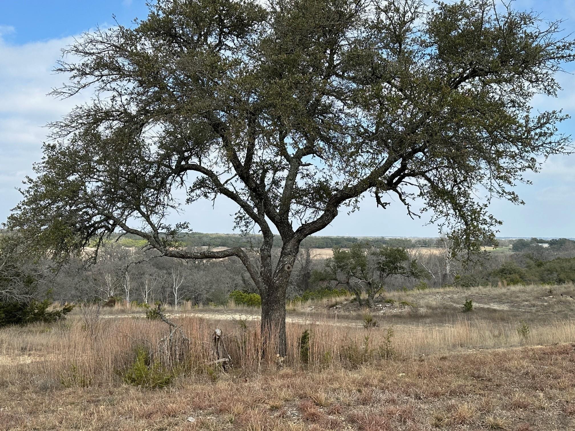 1900 County Road 284, Liberty Hill, TX 78642