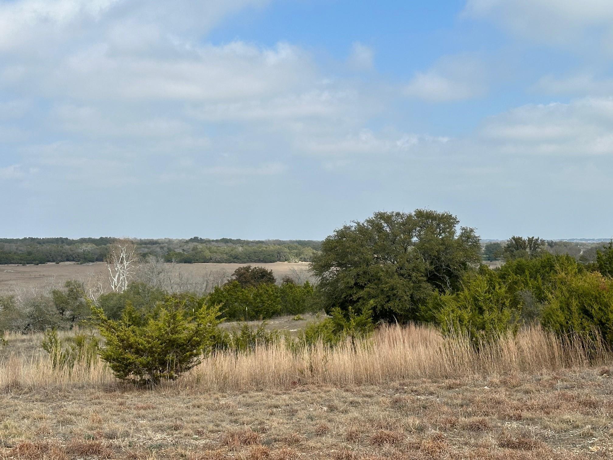 1900 County Road 284, Liberty Hill, TX 78642