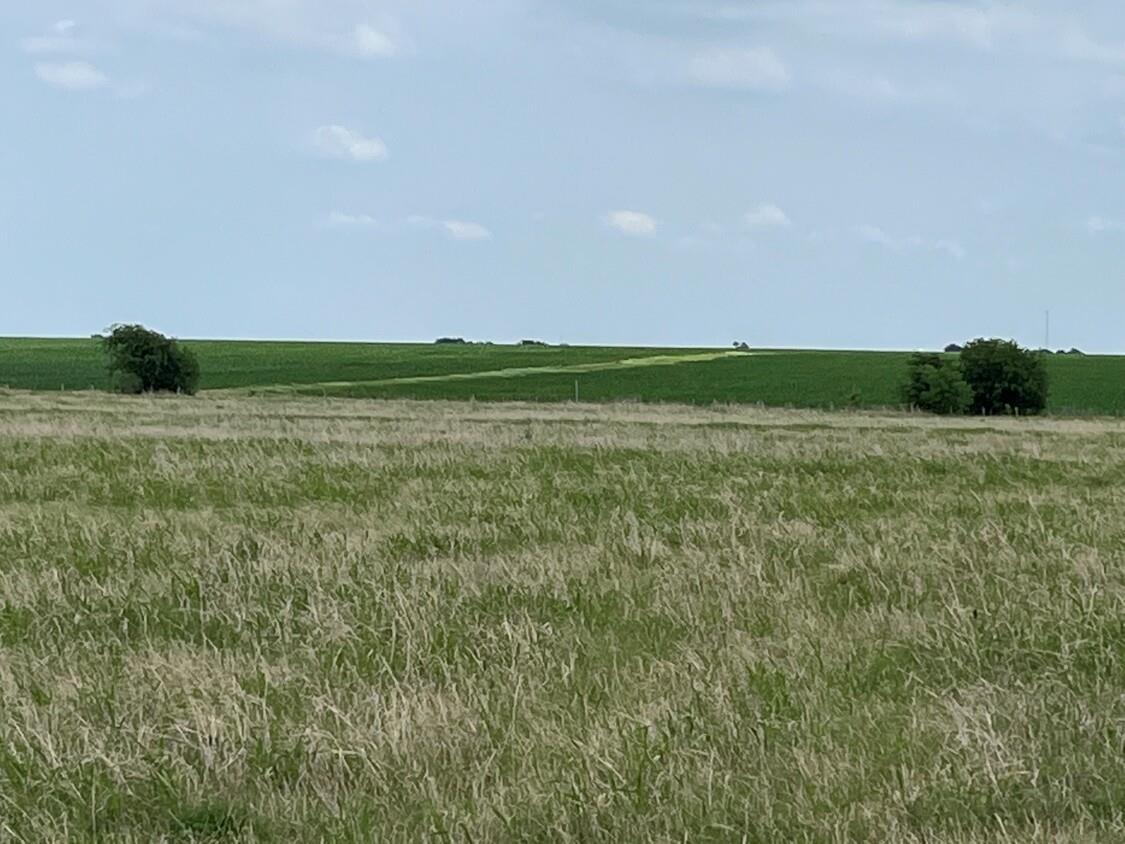 000 County Rd 269, Oglesby, TX 76561