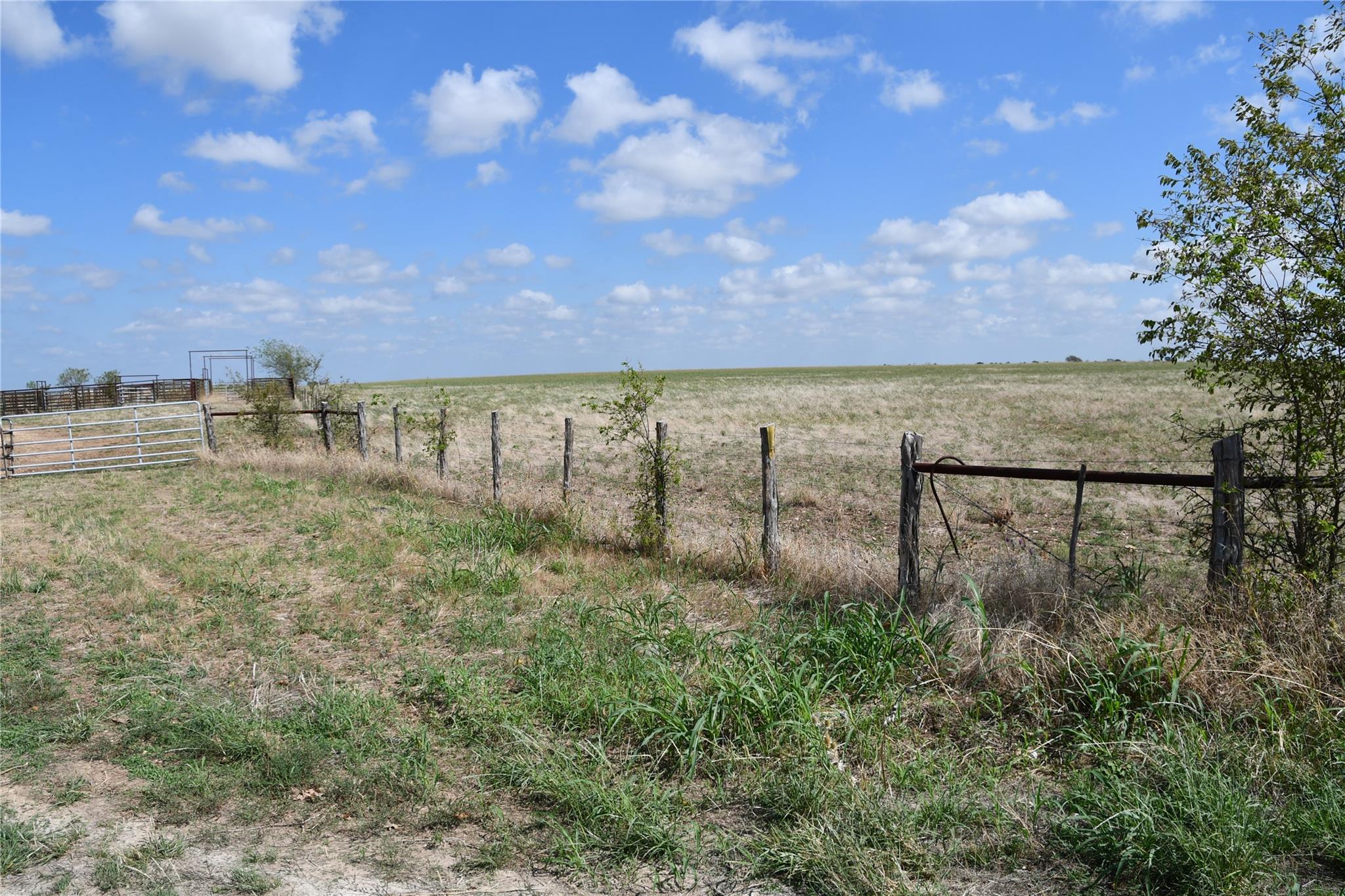 000 County Rd 269, Oglesby, TX 76561