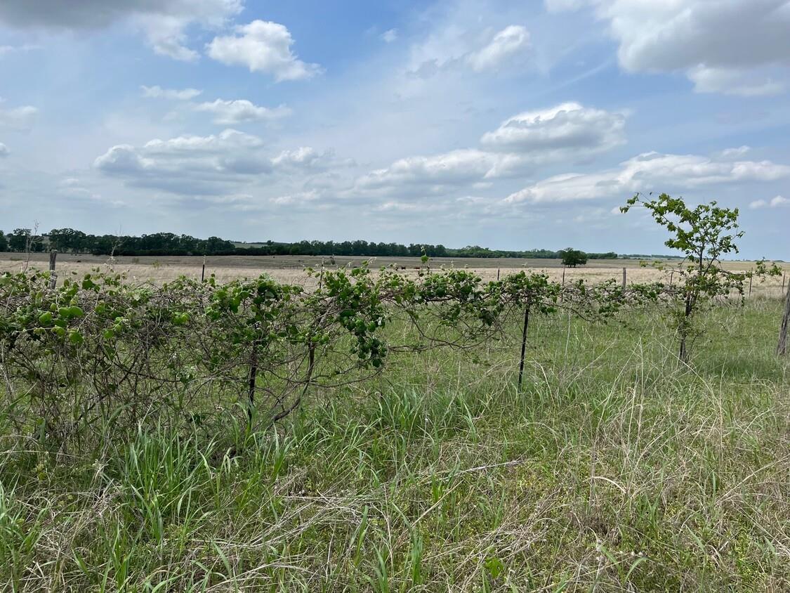 000 County Rd 269, Oglesby, TX 76561