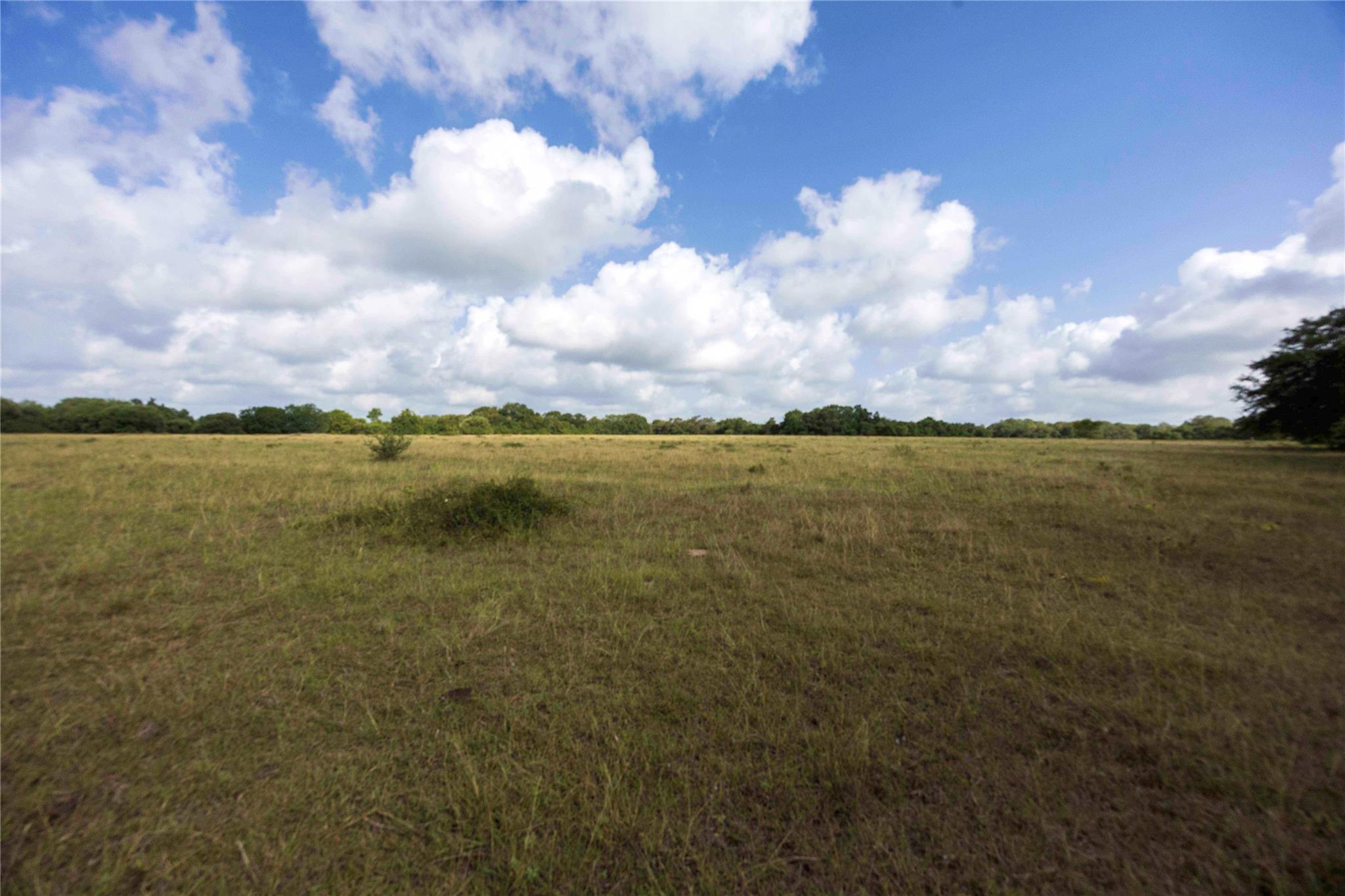 TBD Stryk Rd, Flatonia, TX 78941