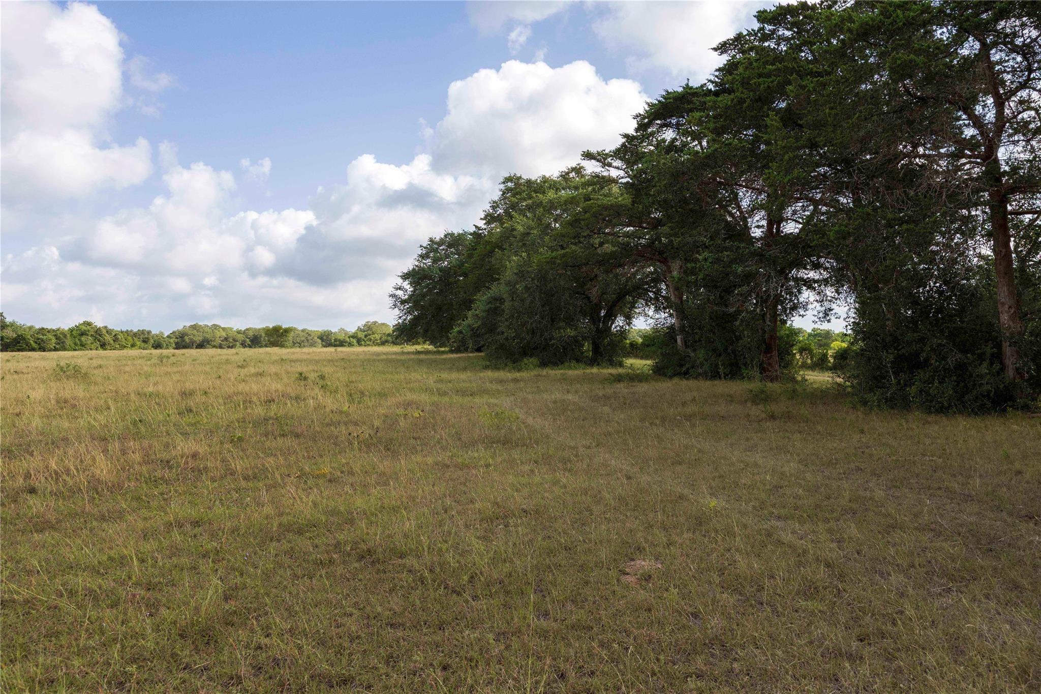 TBD Stryk Rd, Flatonia, TX 78941