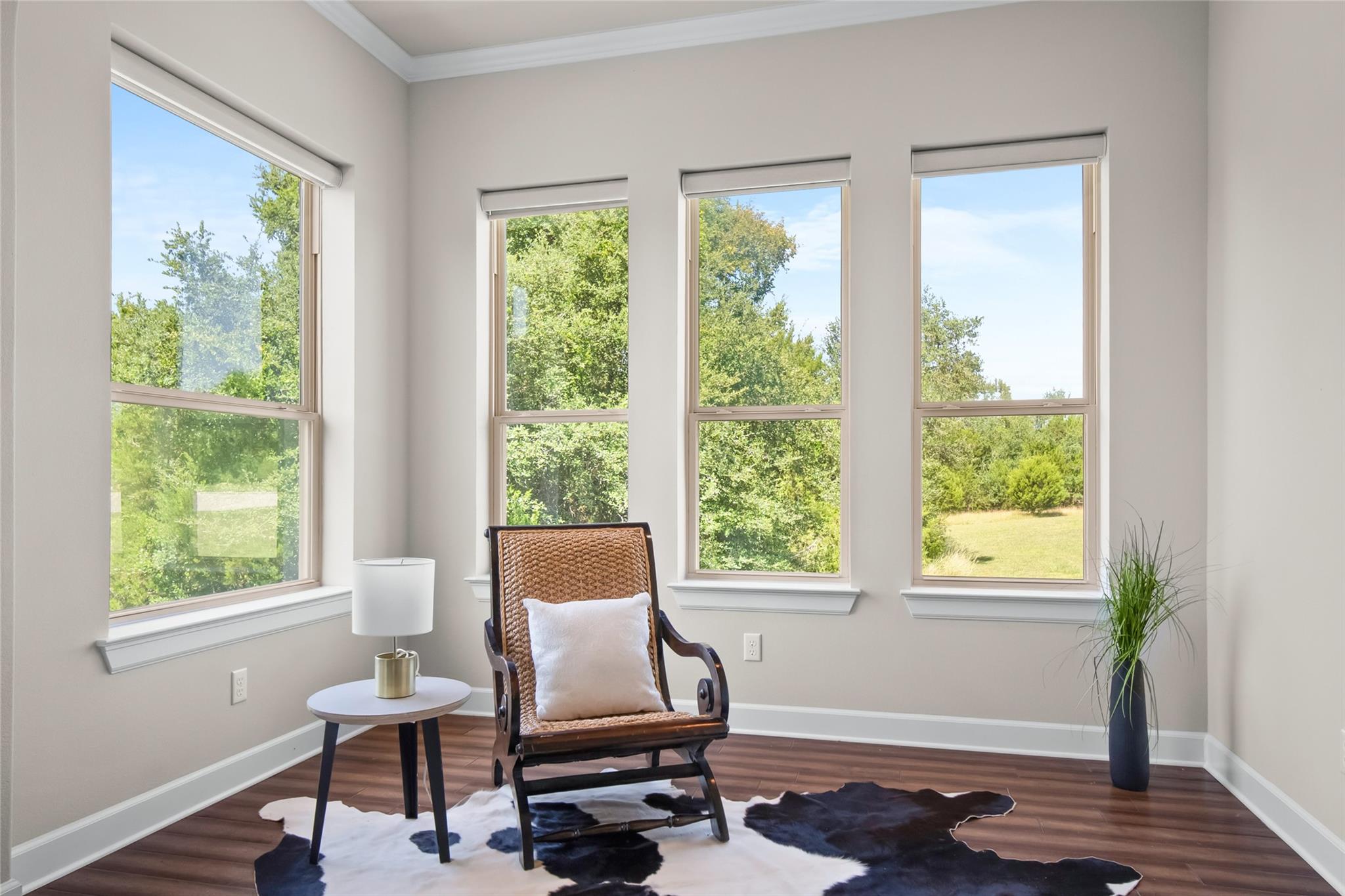 161 Spyglass Cv, Austin, TX 78737