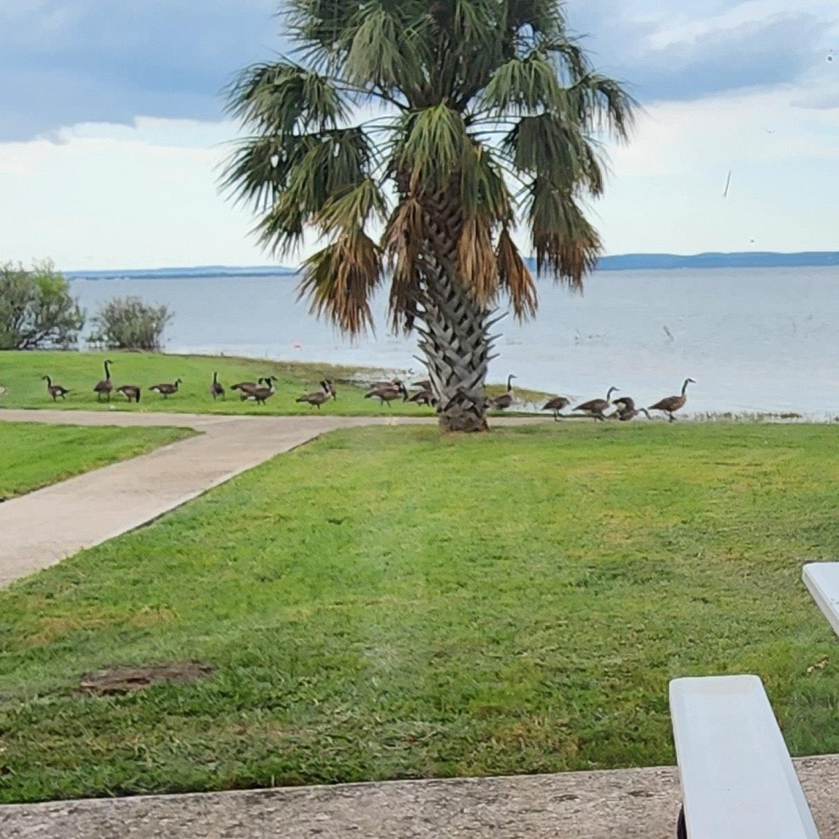 210 Lariat Lane, Burnet, TX 78611