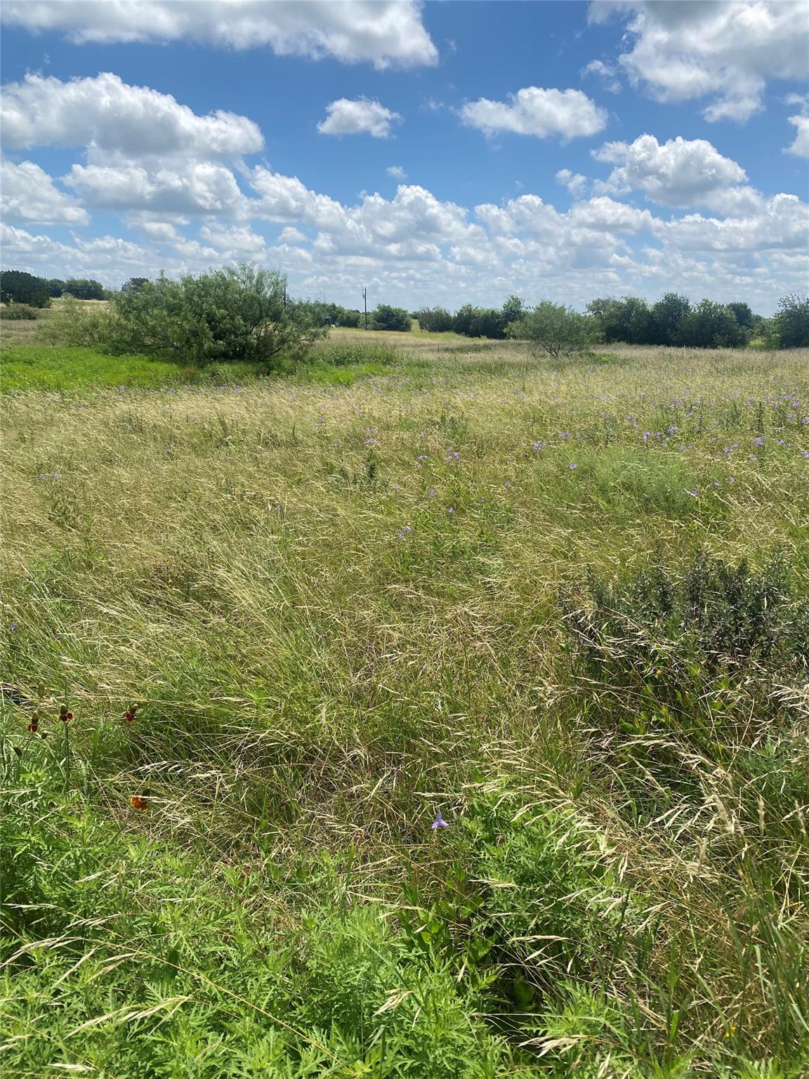 265 County Road 3535 Rd, Valley Mills, TX 76689