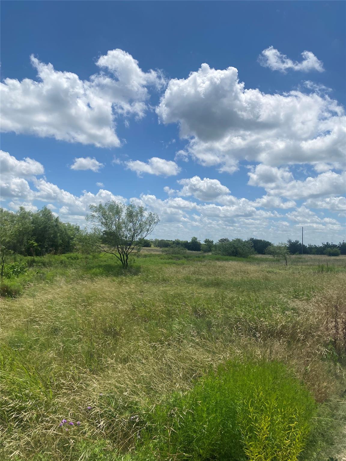 265 County Road 3535 Rd, Valley Mills, TX 76689