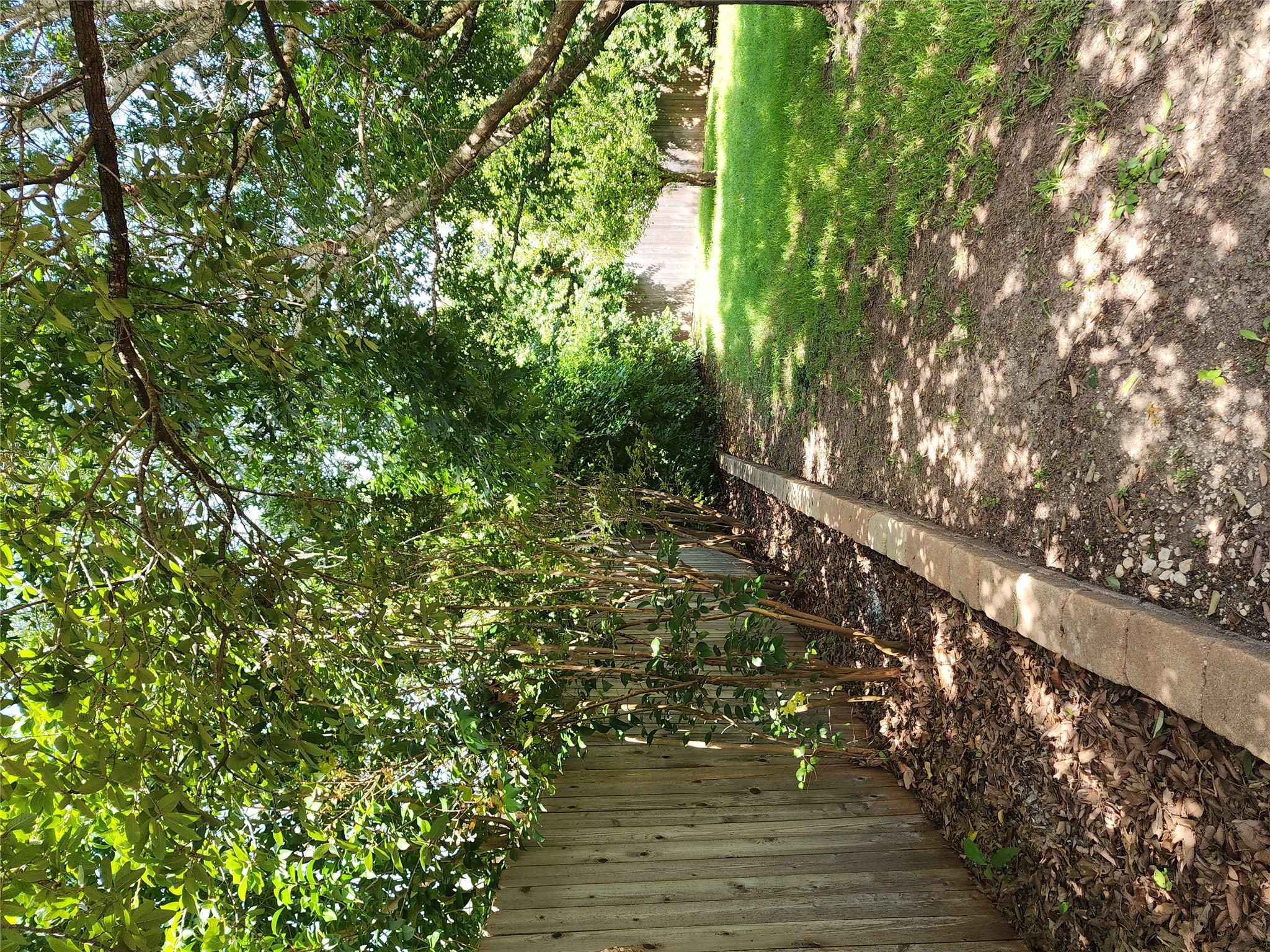 103 Hal Sutton Cv, Round Rock, TX 78664
