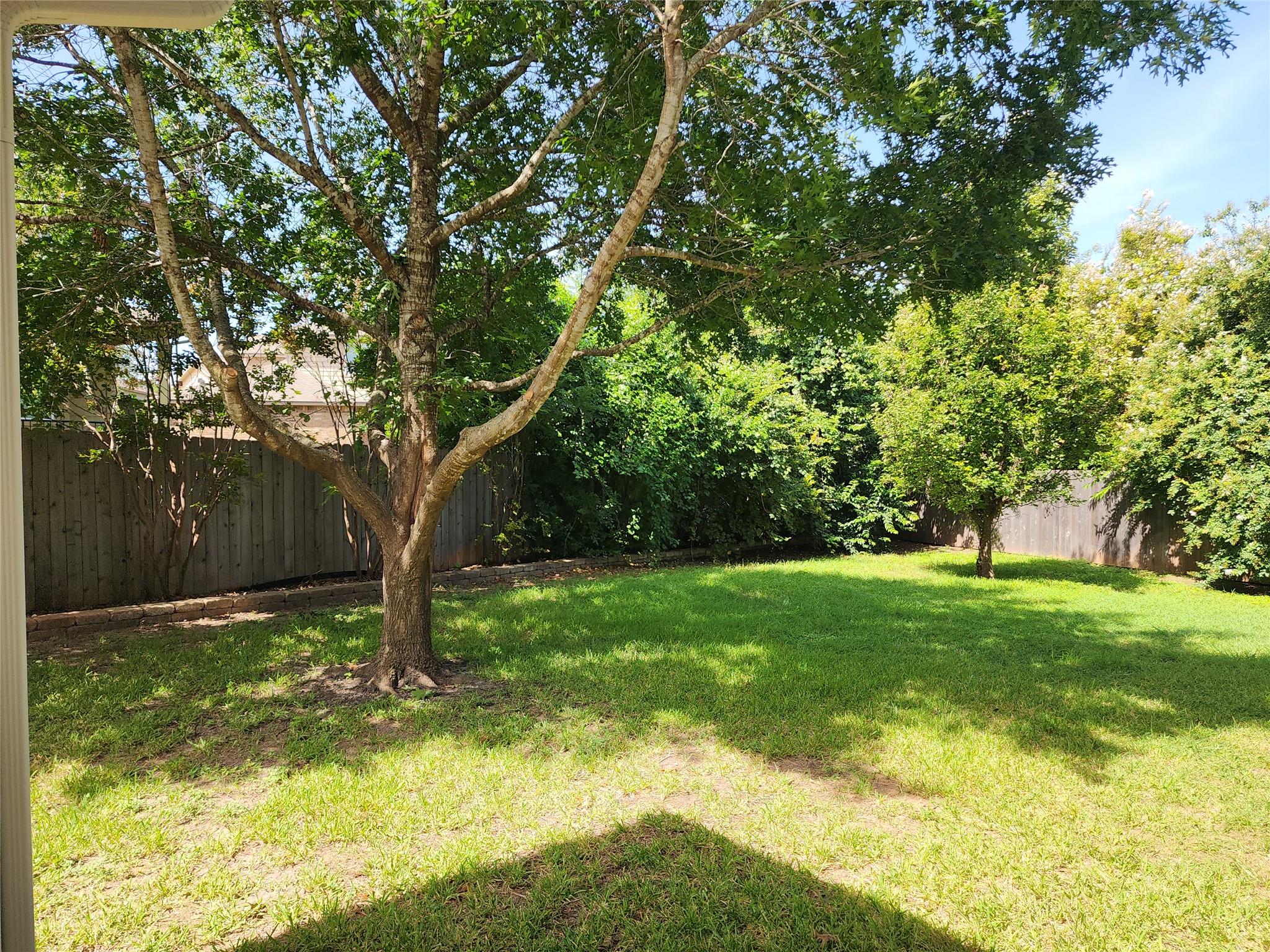 103 Hal Sutton Cv, Round Rock, TX 78664
