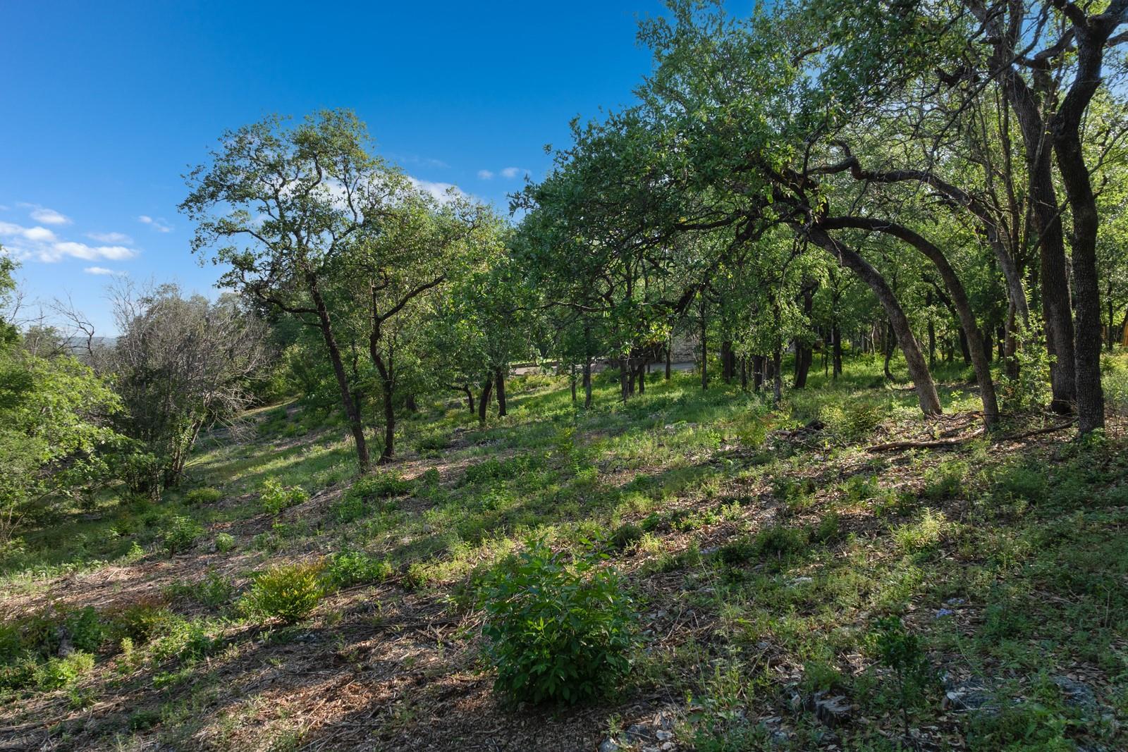 2 Chris Cv, Austin, TX 78746