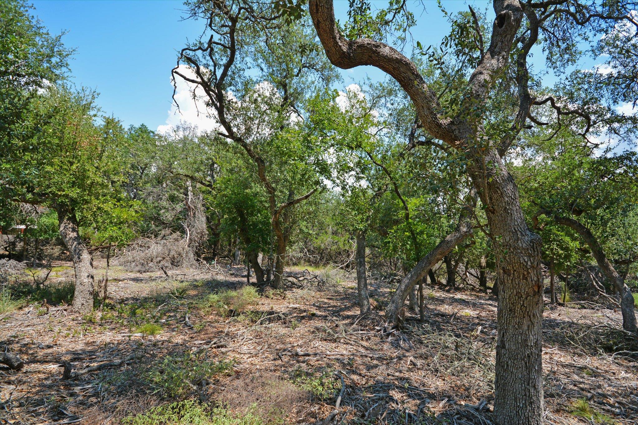 16 W EL CAMINO REAL Dr, Wimberley, TX 78676