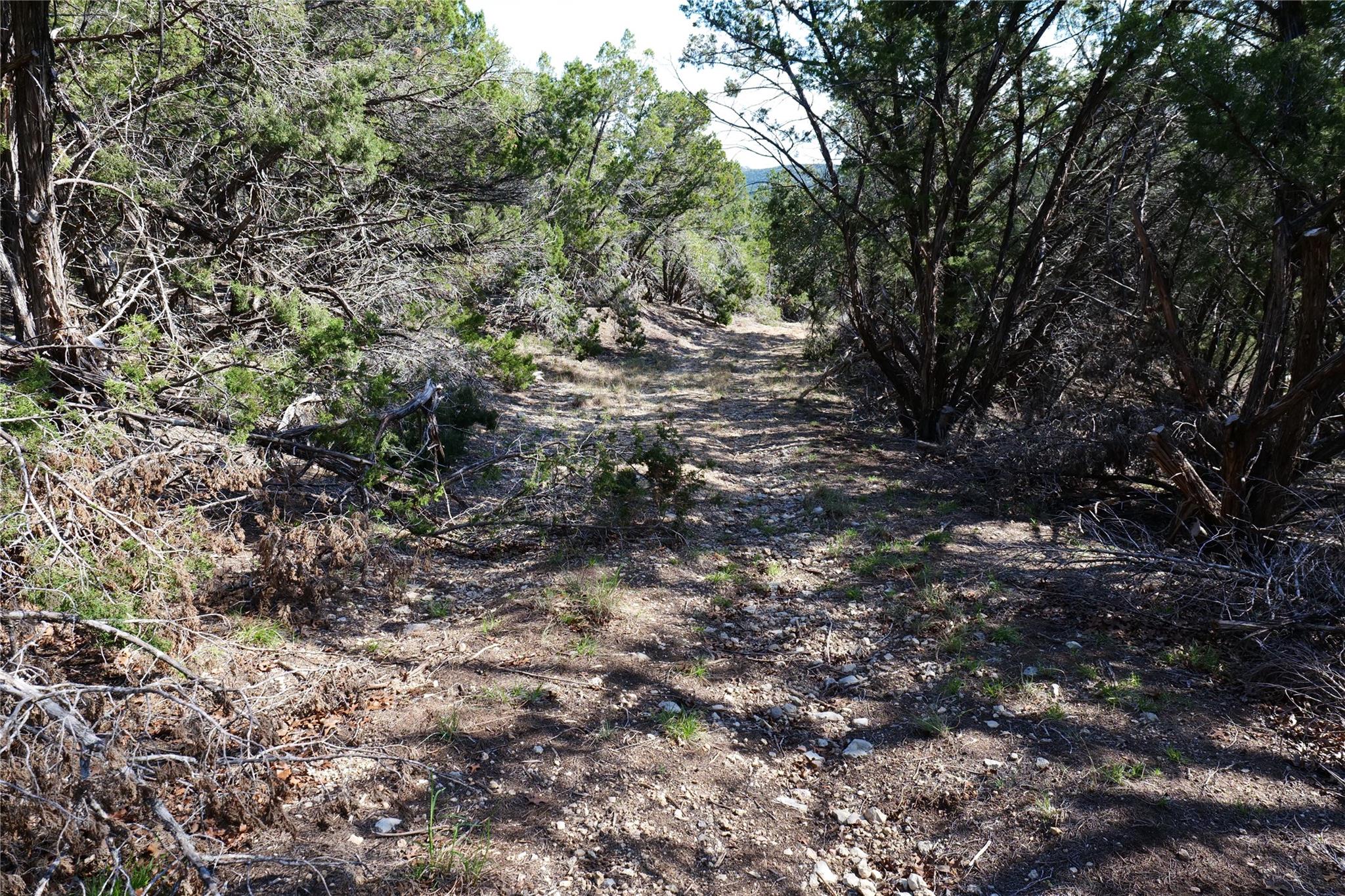 17442 E Reed Park Rd, Jonestown, TX 78645