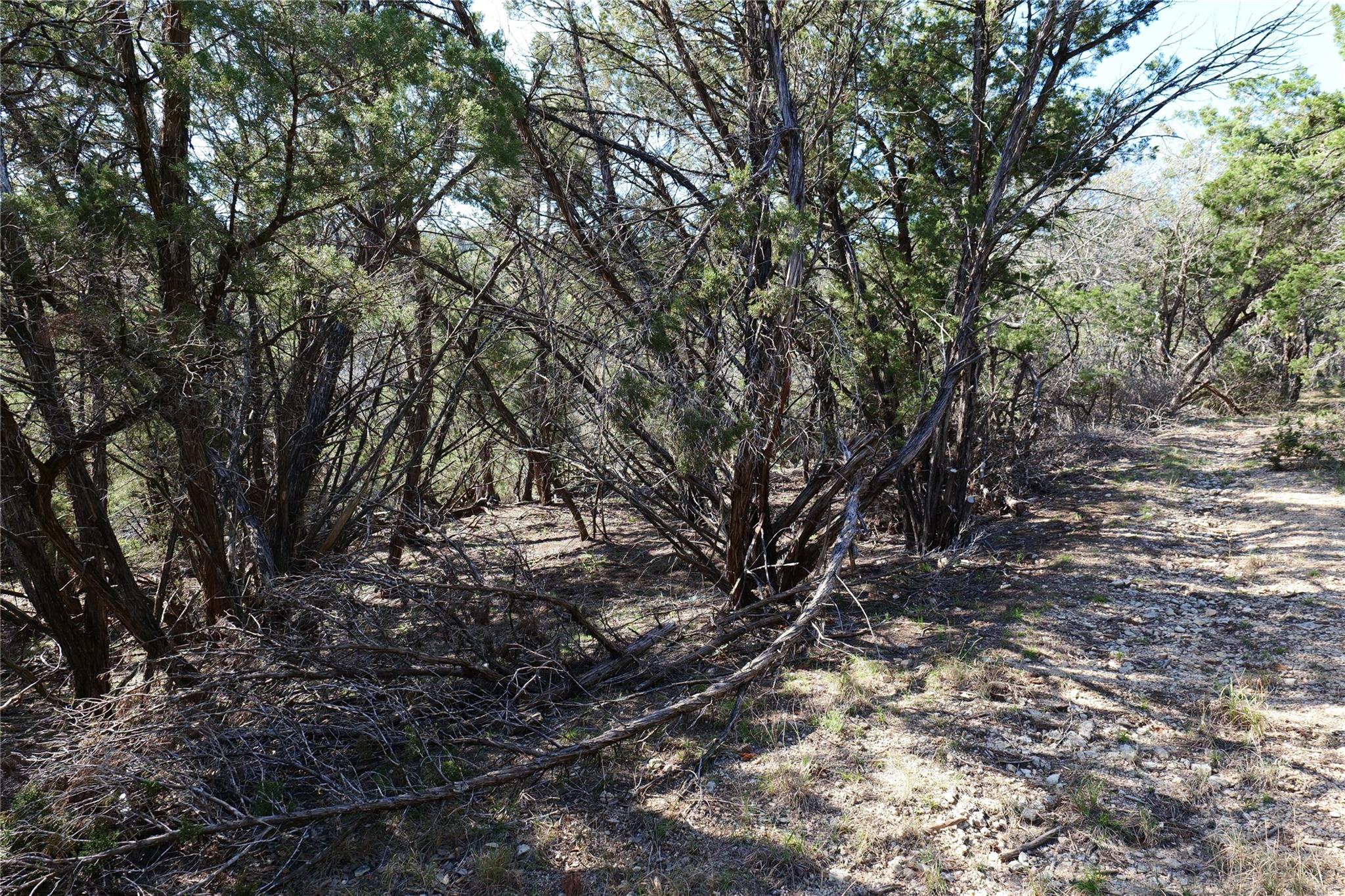 17442 E Reed Park Rd, Jonestown, TX 78645