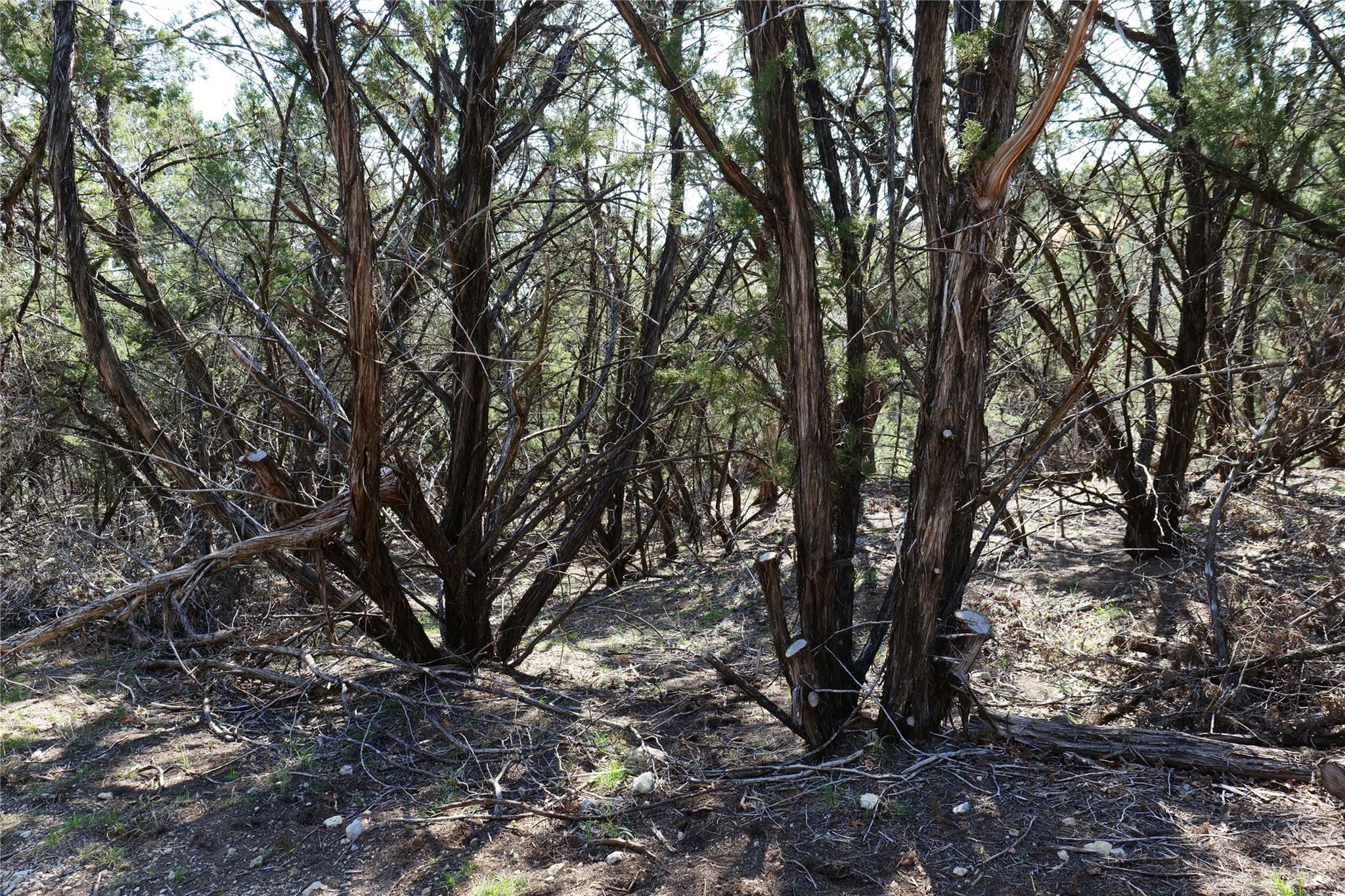 17442 E Reed Park Rd, Jonestown, TX 78645