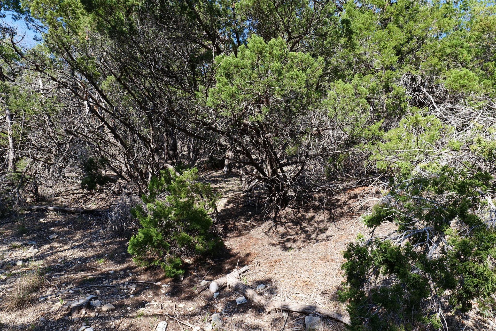 17442 E Reed Park Rd, Jonestown, TX 78645