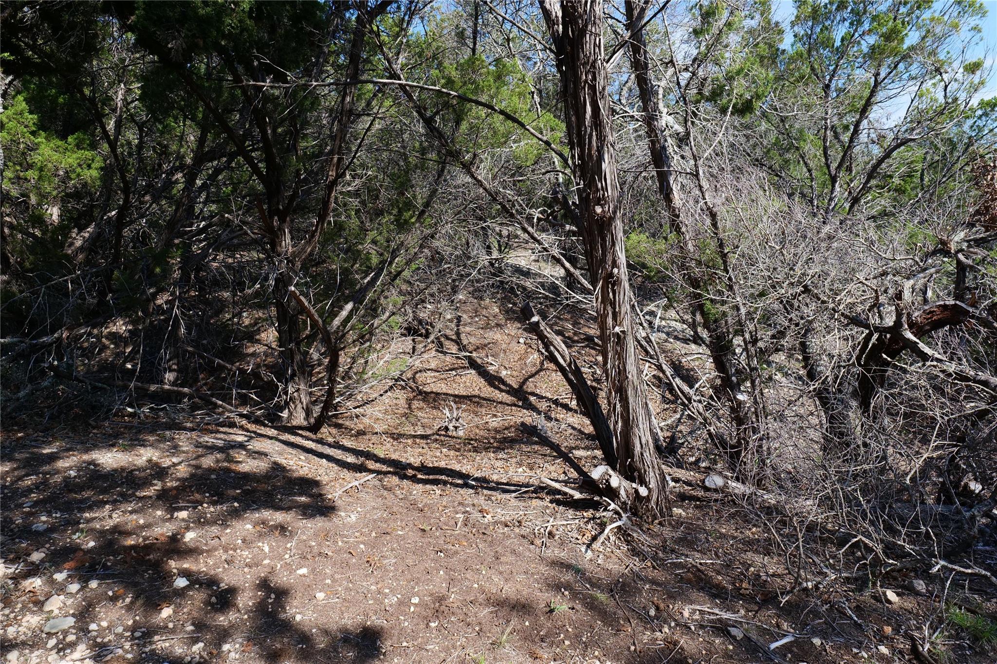 17442 E Reed Park Rd, Jonestown, TX 78645