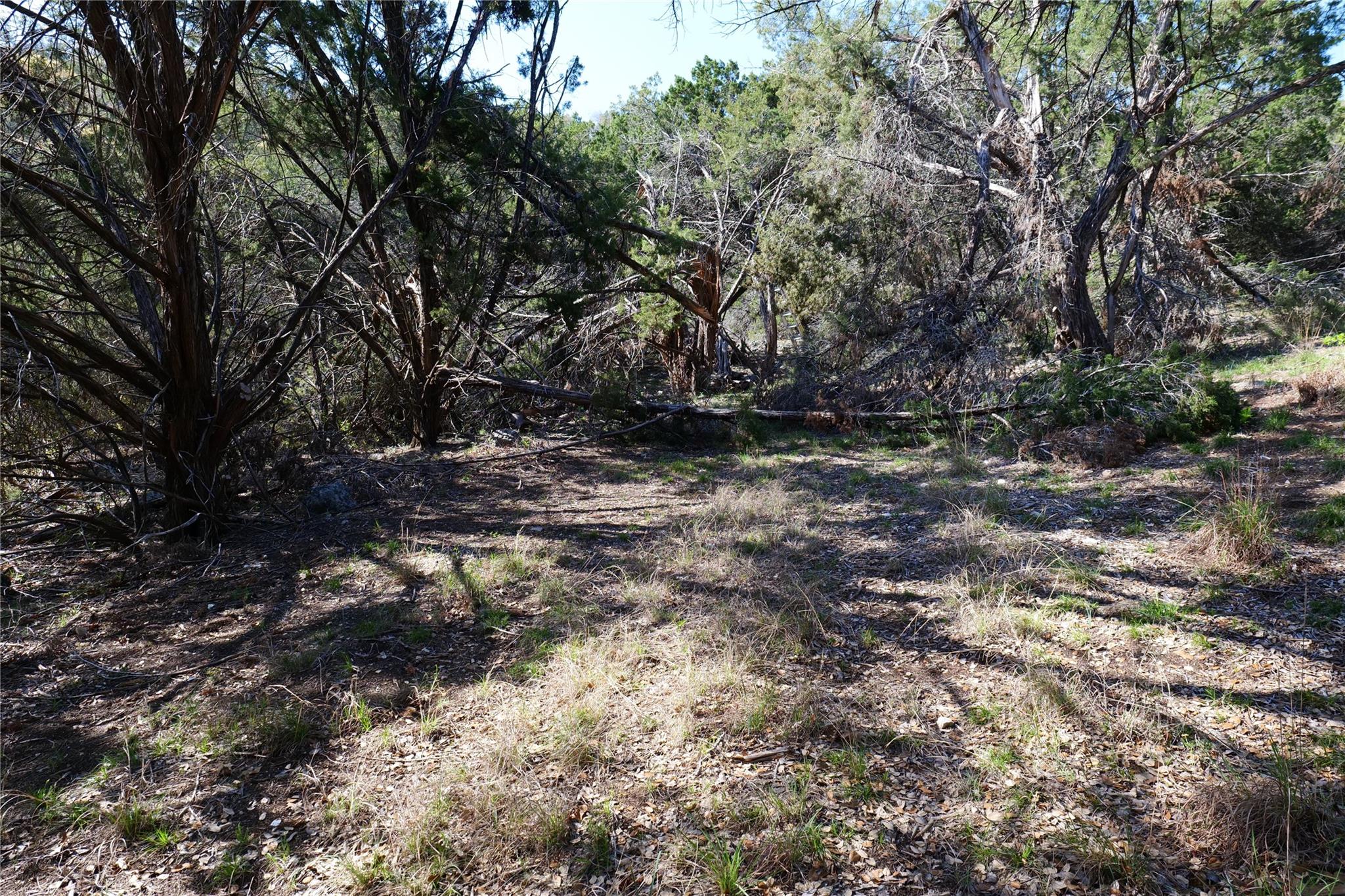 17442 E Reed Park Rd, Jonestown, TX 78645