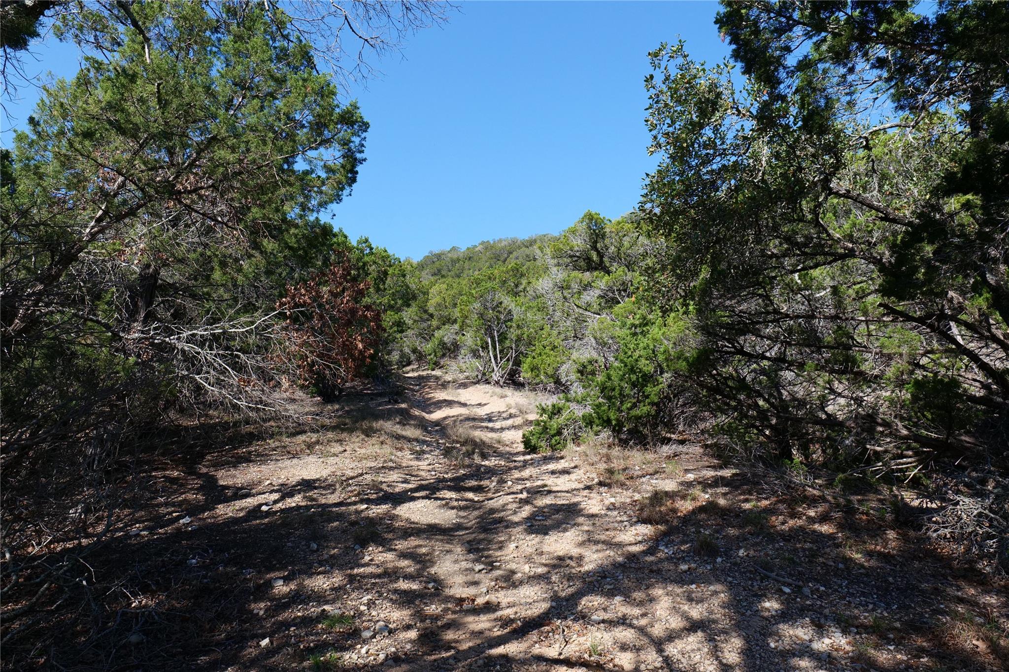 17442 E Reed Park Rd, Jonestown, TX 78645