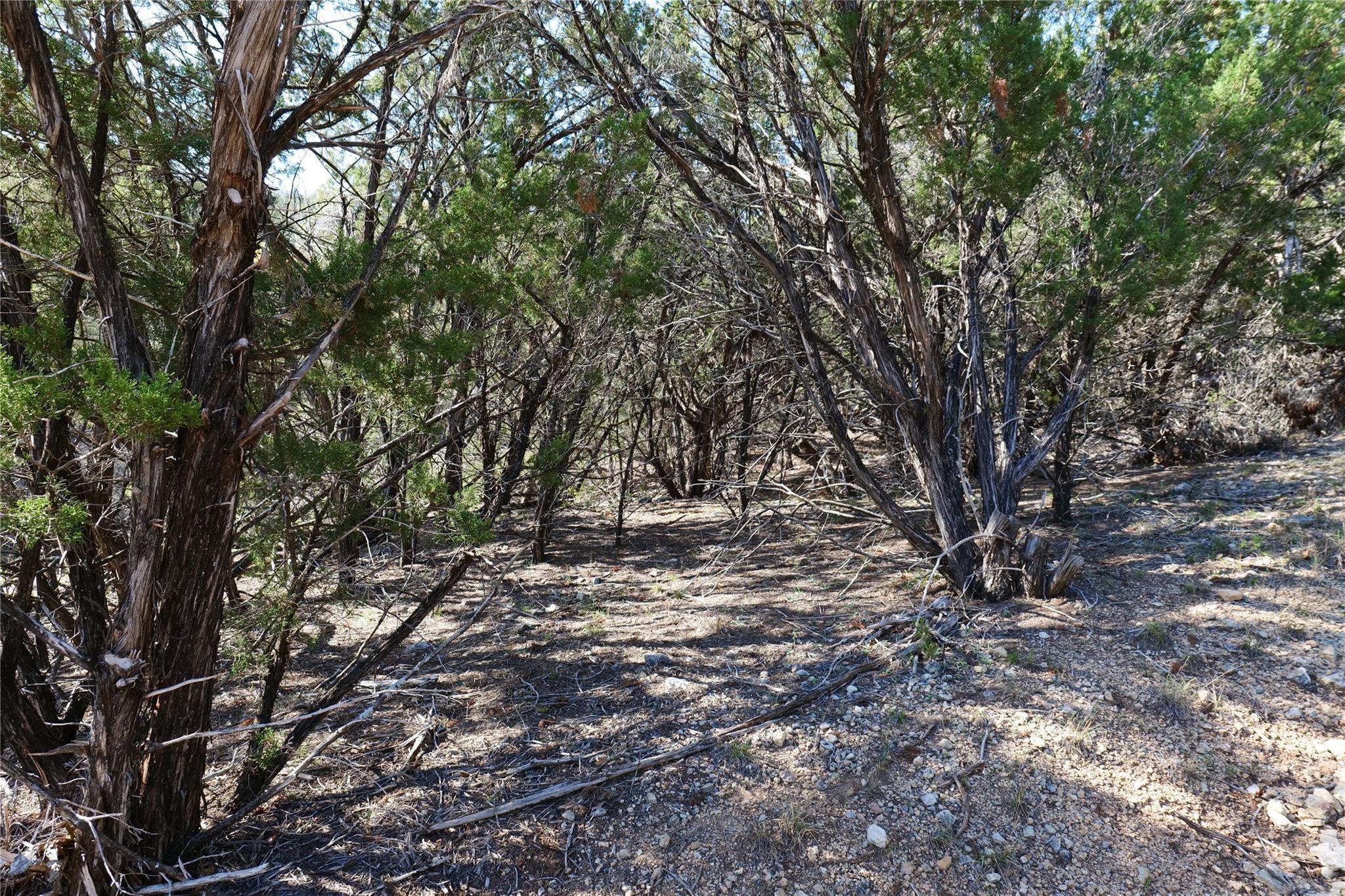 17442 E Reed Park Rd, Jonestown, TX 78645